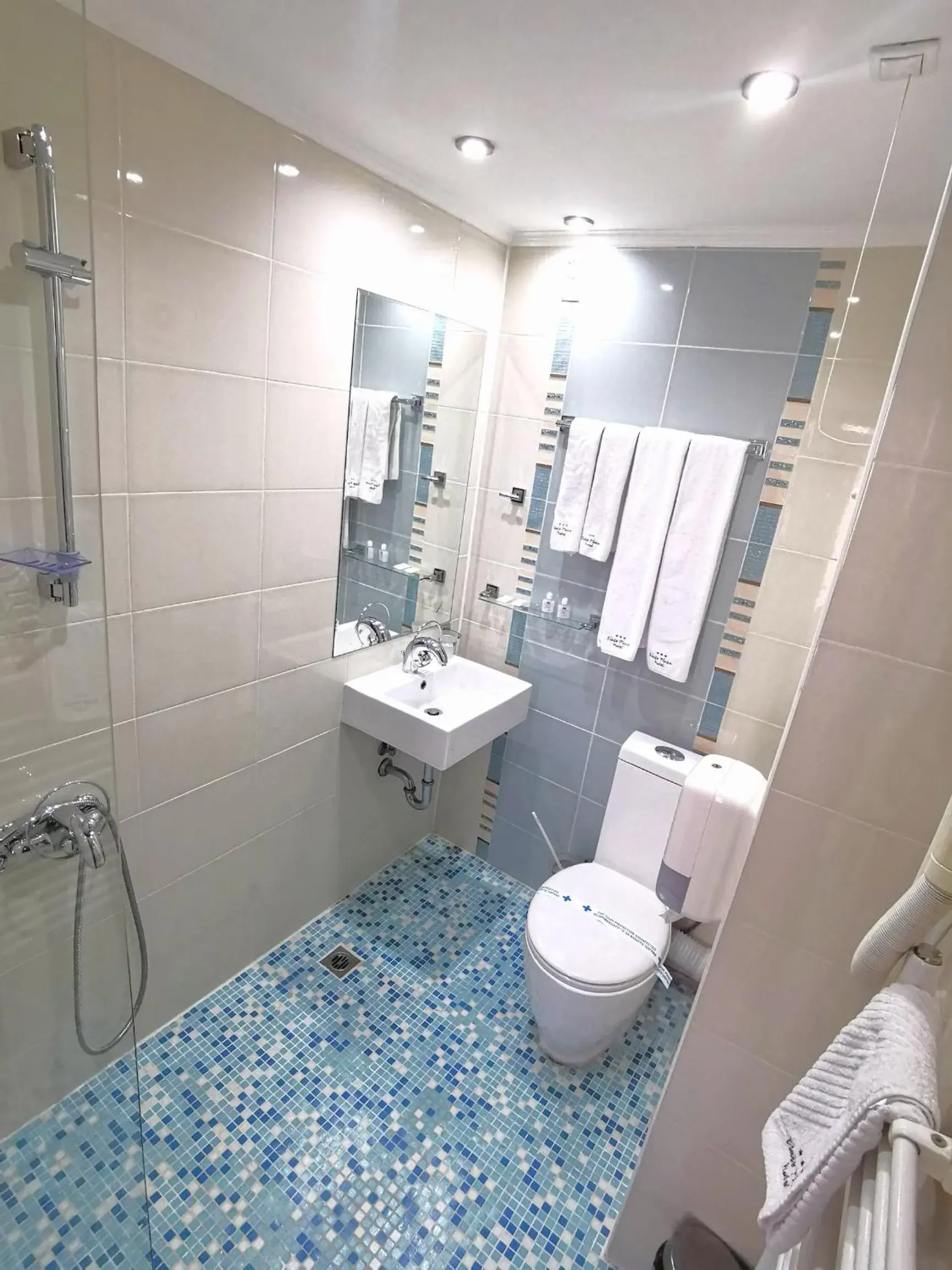 Bathroom in Elate Plaza Hotel