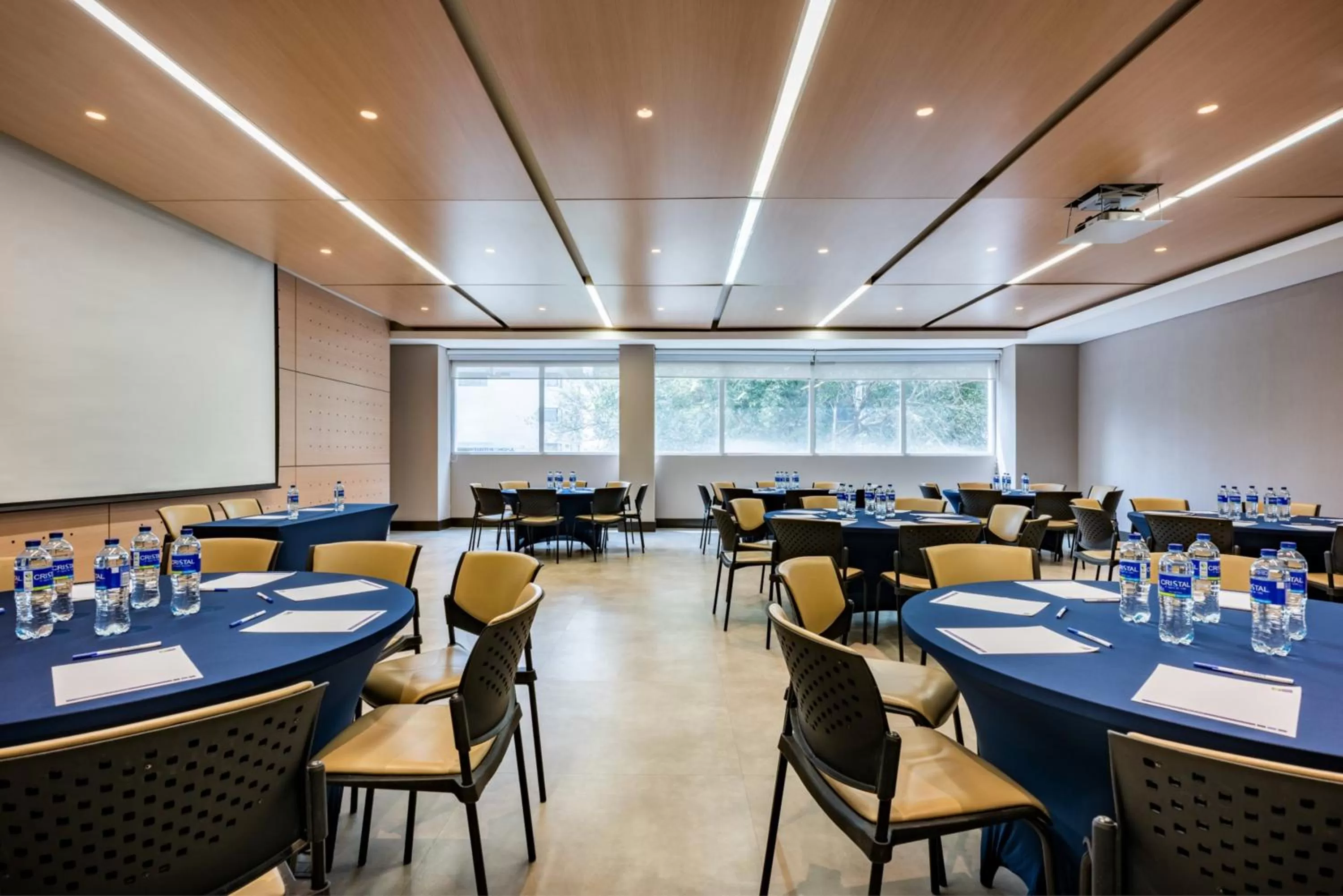 Banquet/Function facilities in Holiday Inn Express - Cartagena Bocagrande by IHG