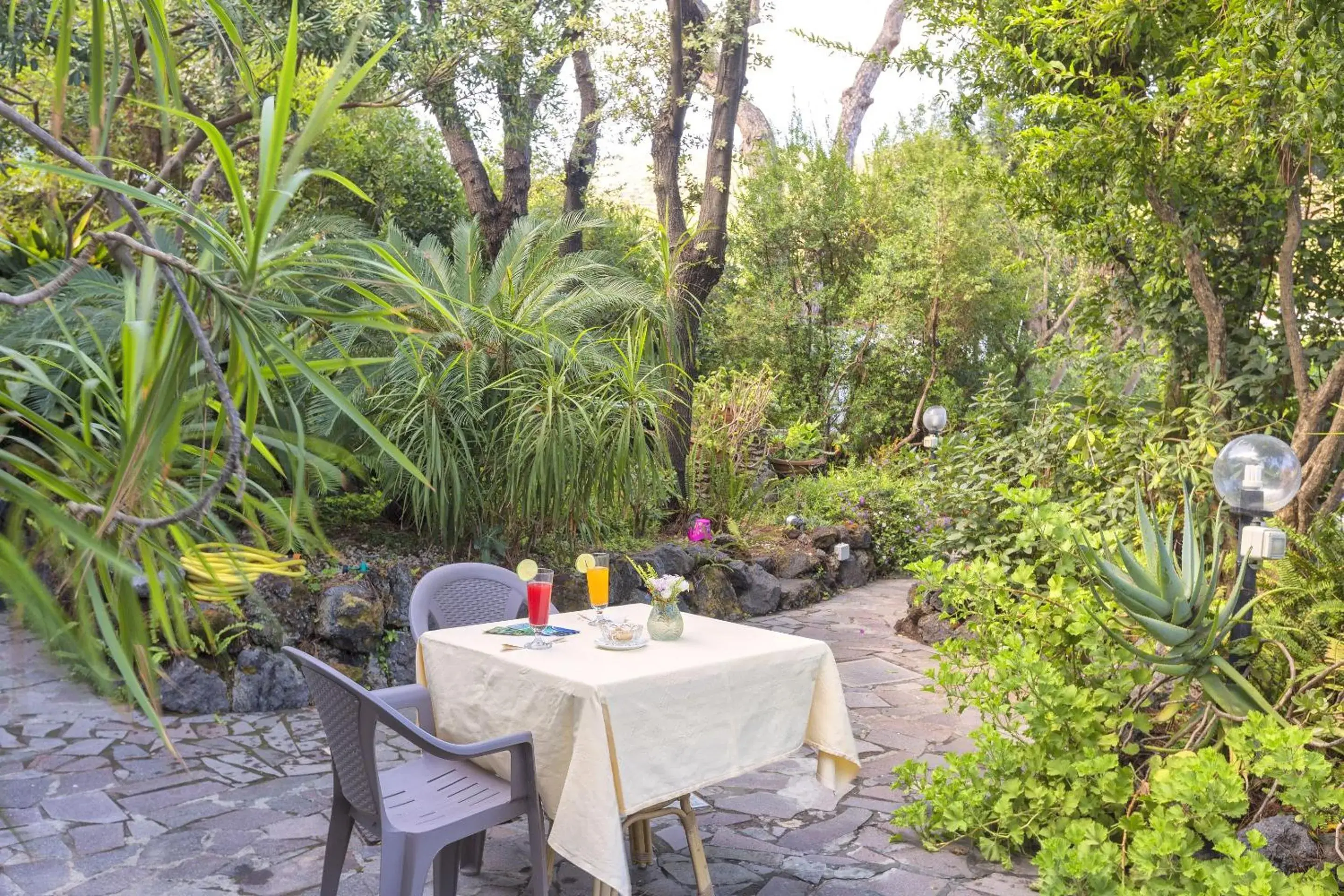 Garden in Hotel Vittoria