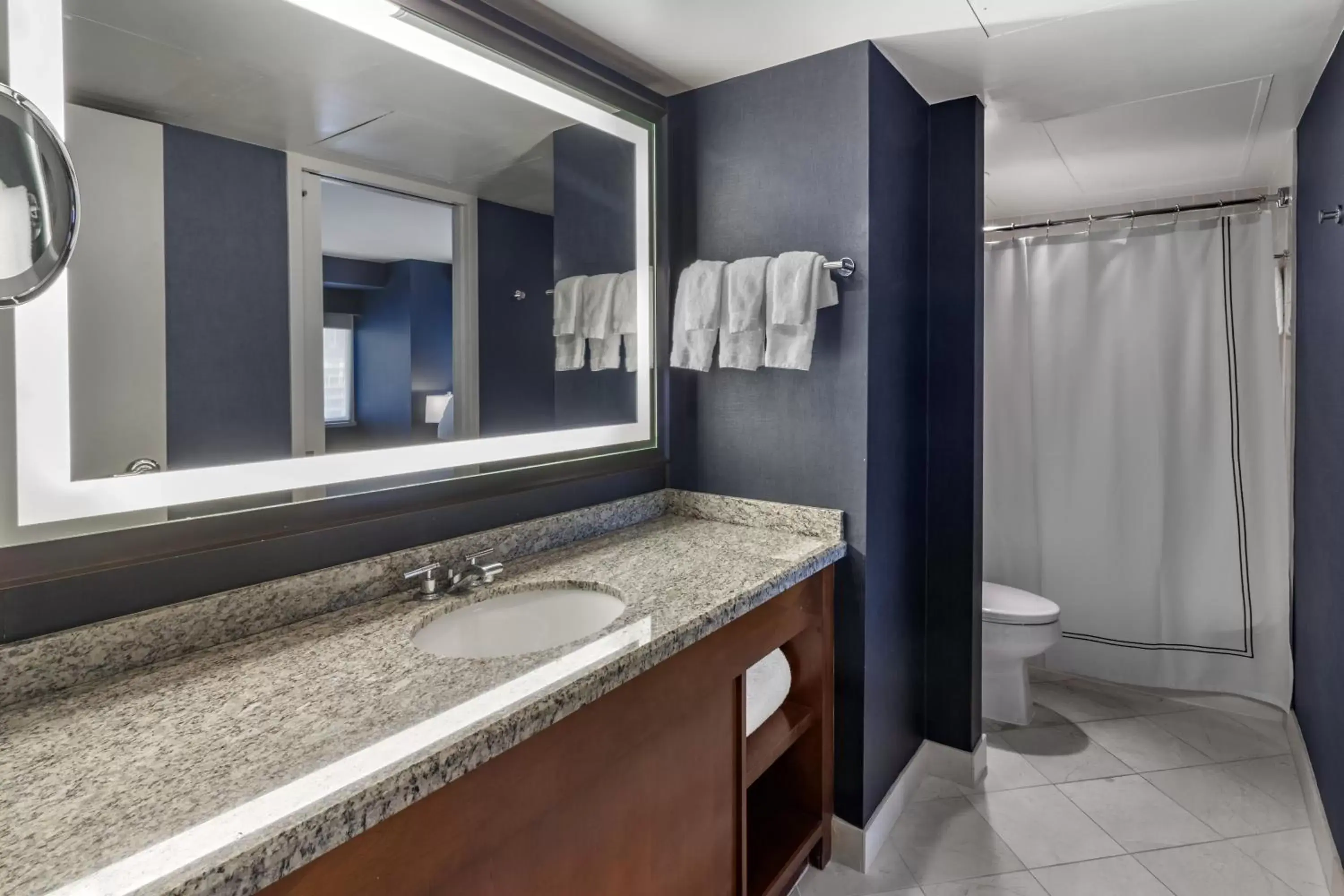 Bathroom in Omni Chicago All Suites Hotel-Magnificent Mile