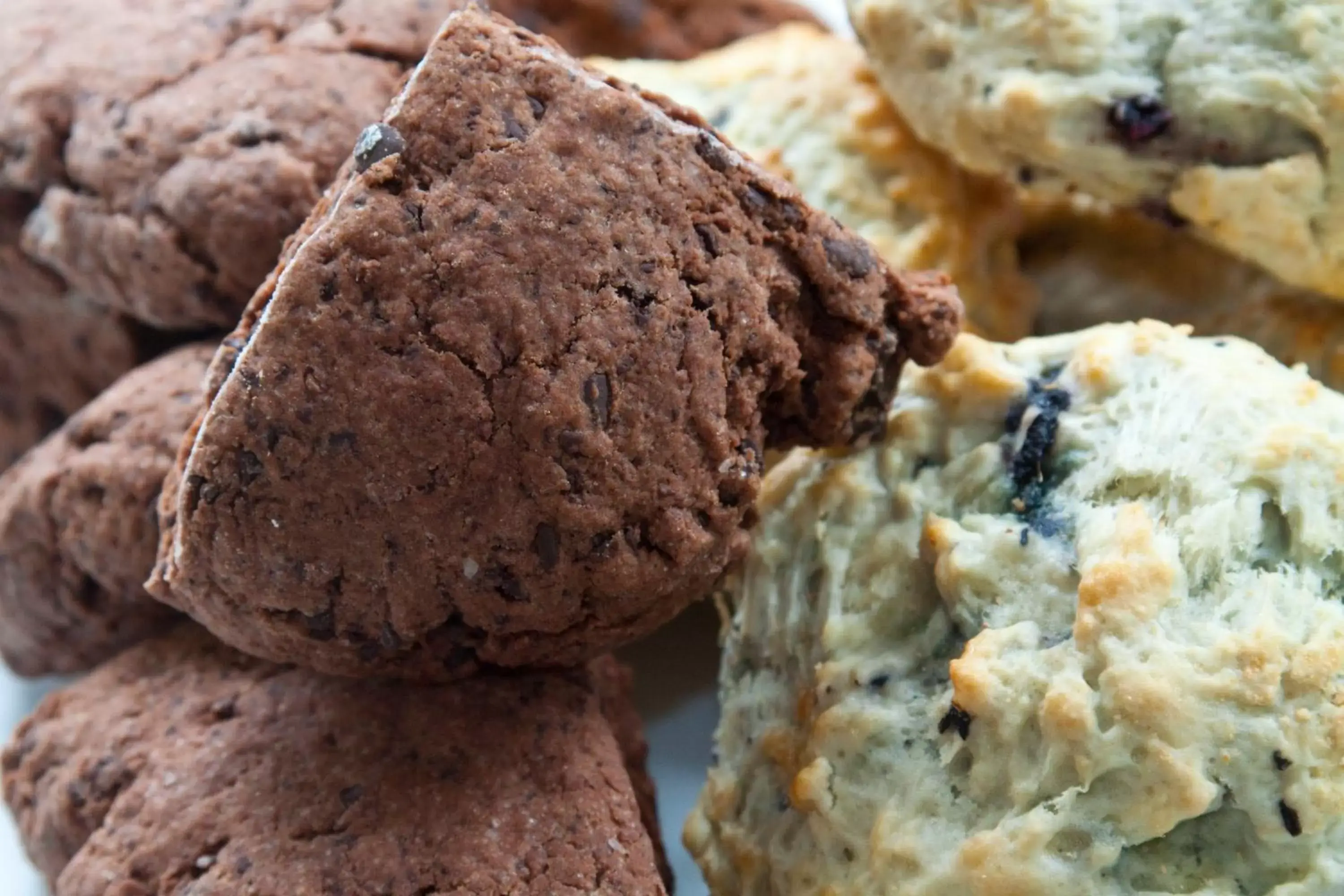 Breakfast in Scranton Seahorse Inn Breakfast in Scranton Seahorse Inn