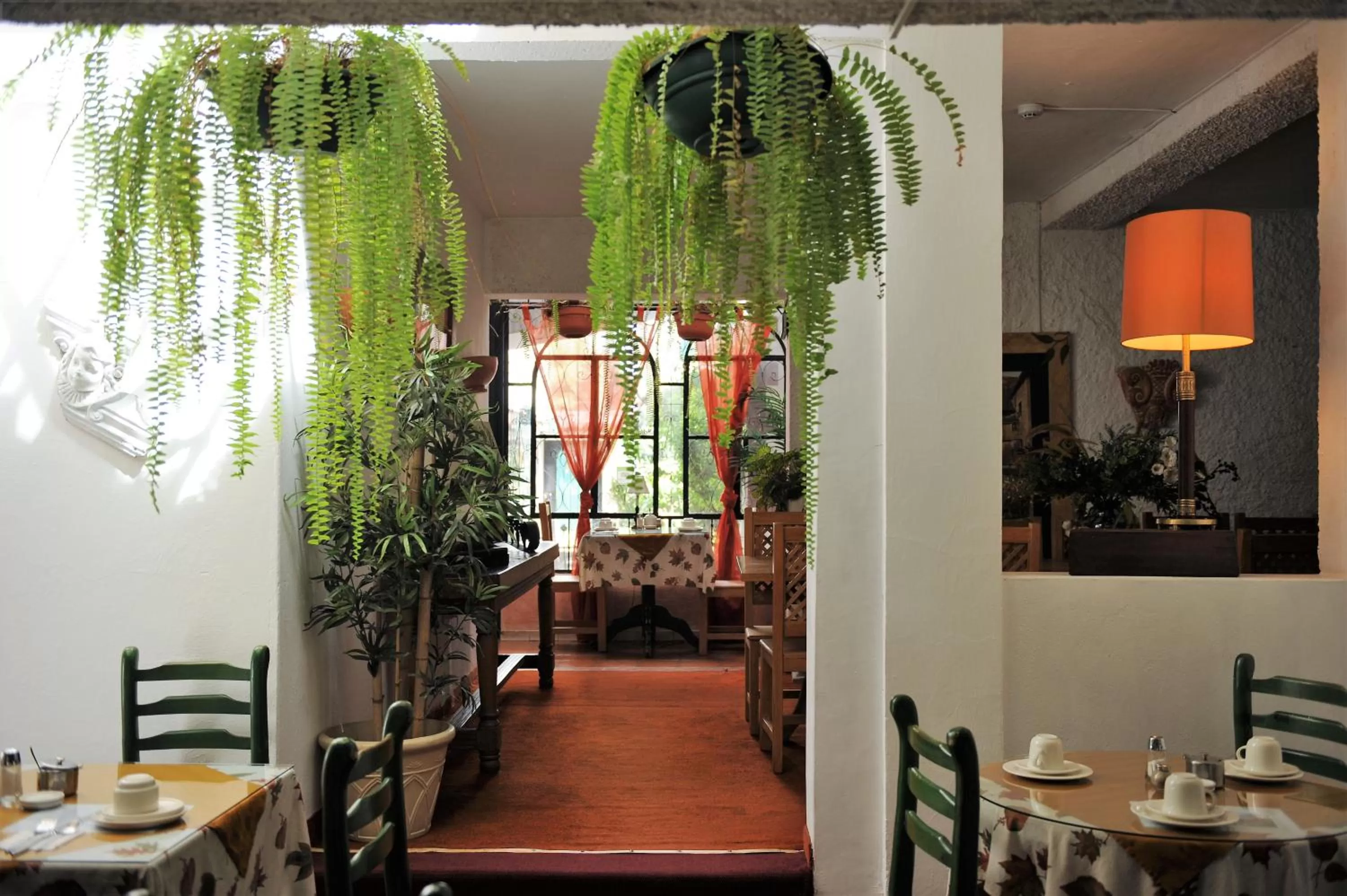 Garden in Boutique Hotel Antinea