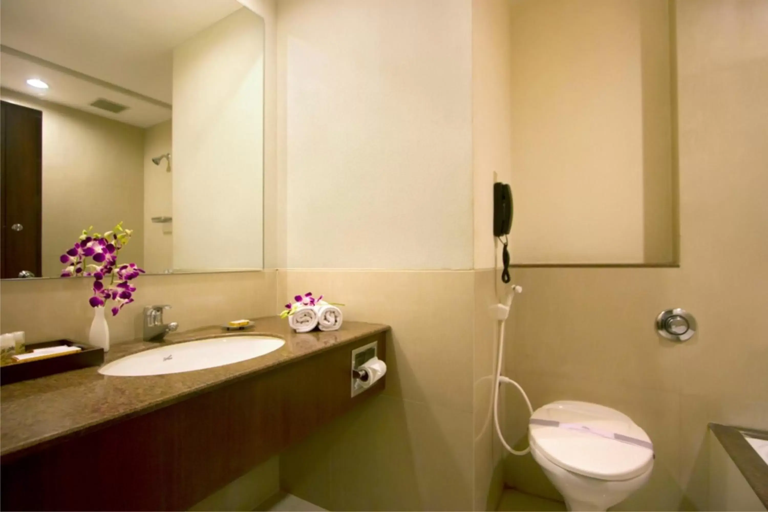 Bathroom in Hotel Express Towers