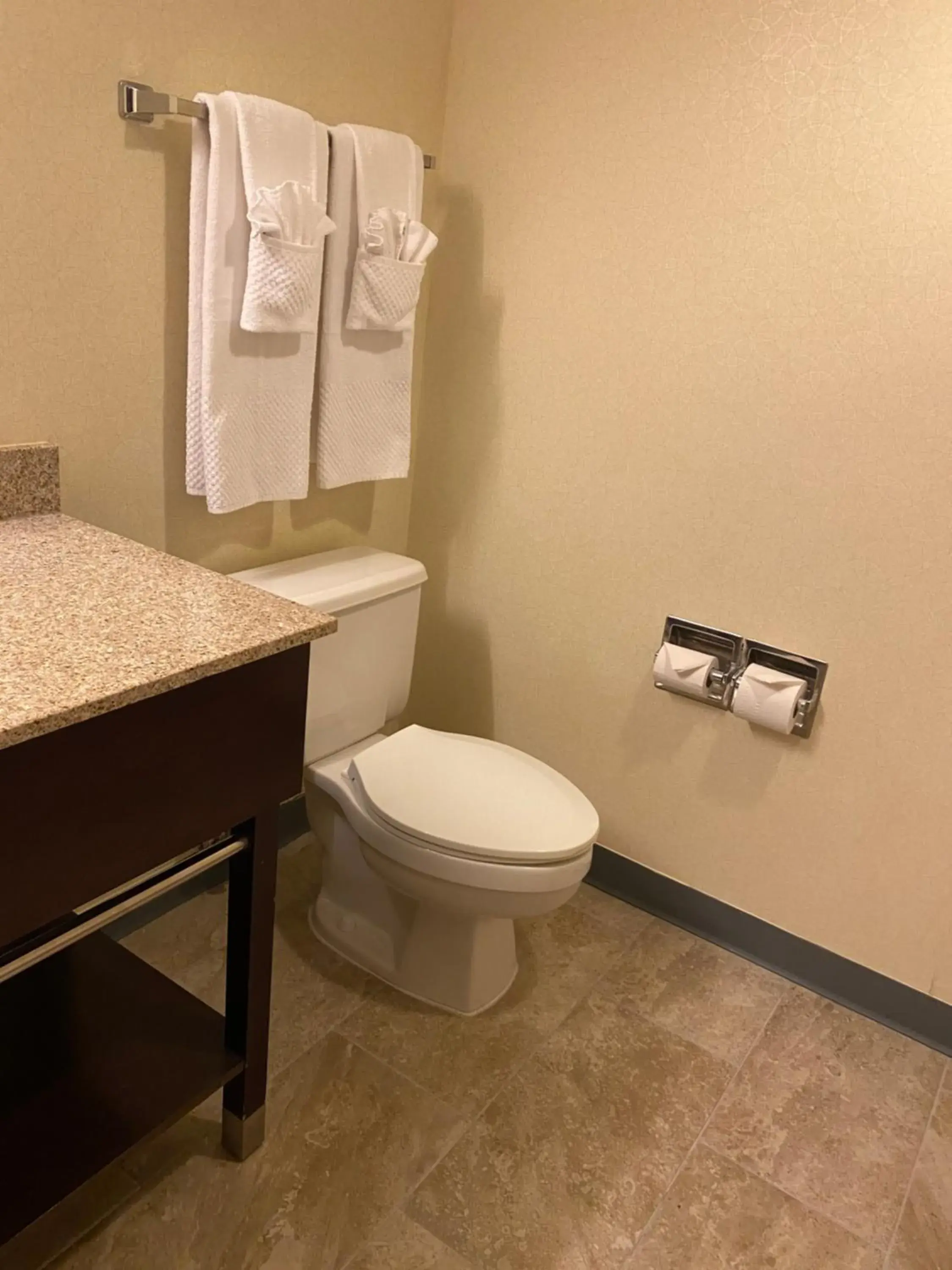 Toilet, Bathroom in Wyndham Garden Grand Rapids Airport