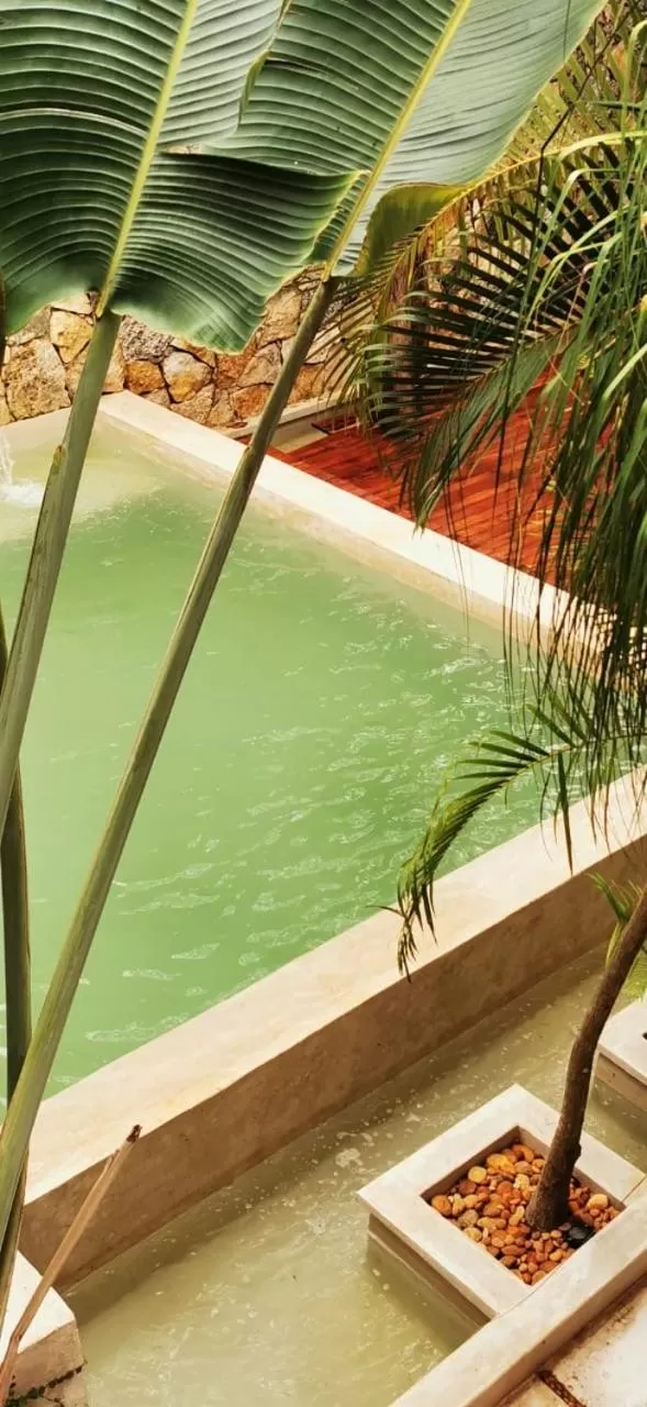 Pool View in Hotel Casa Bamboo