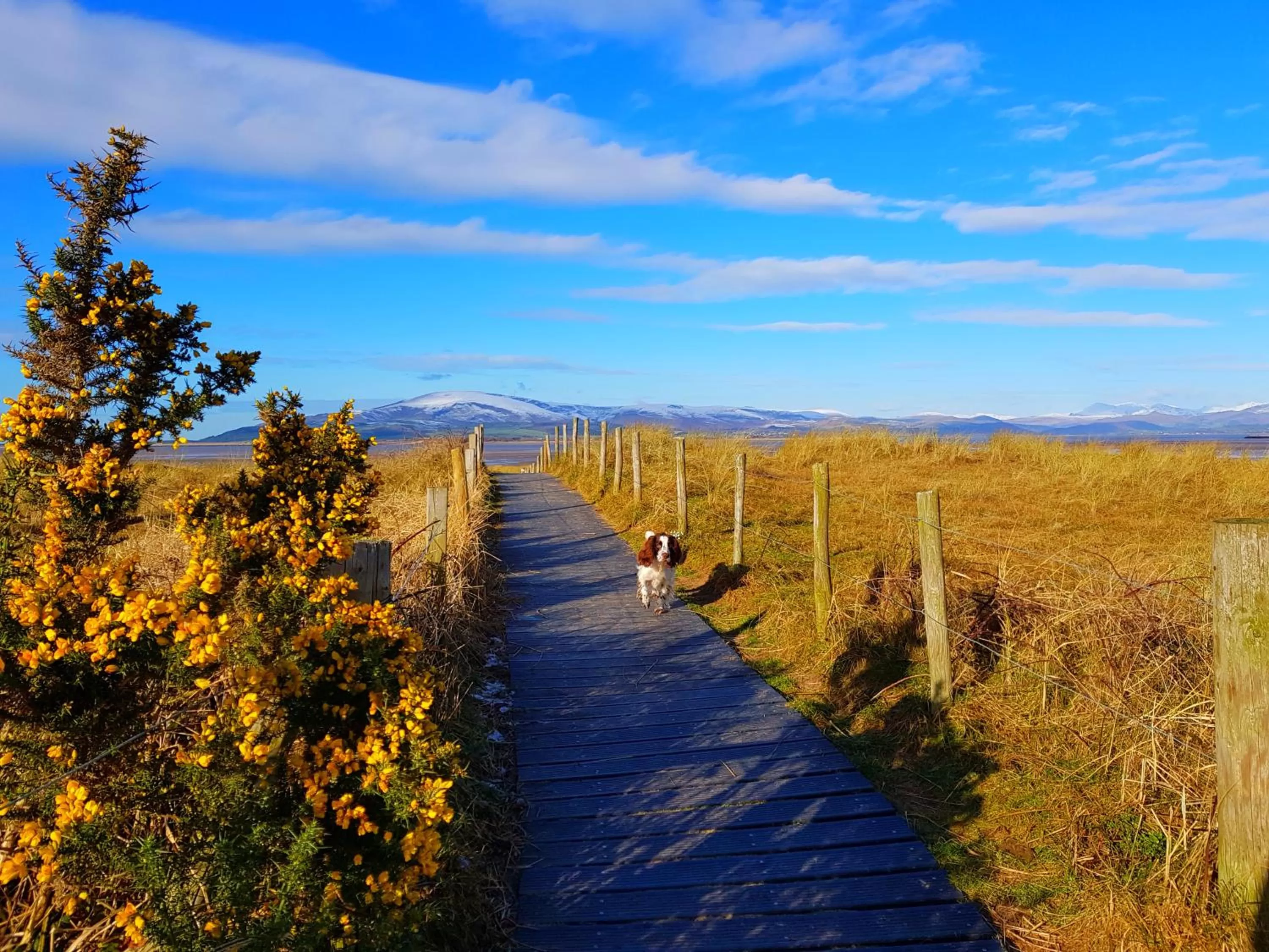 Beach, Natural Landscape in The Chetwynde Hotel