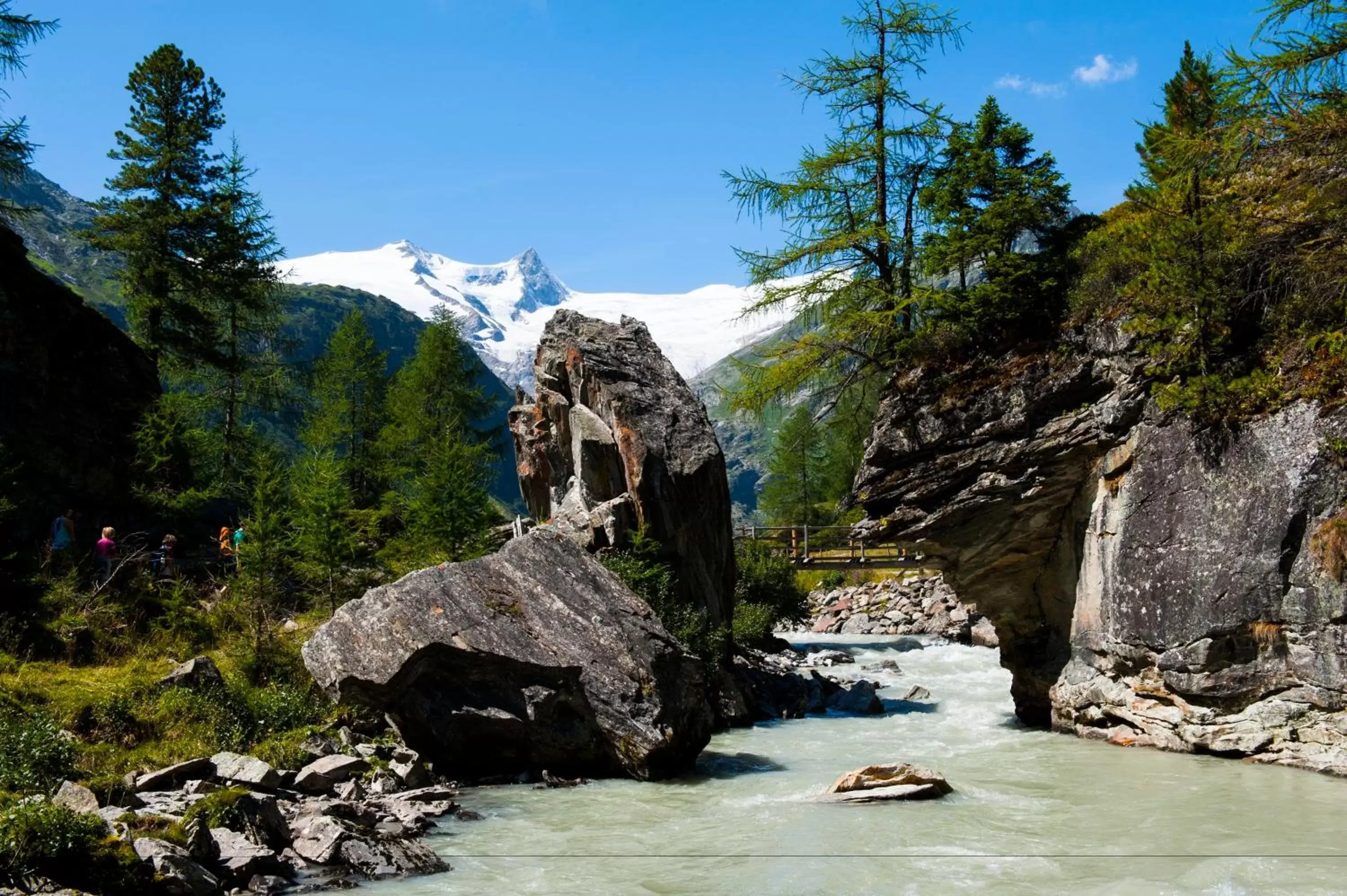 Area and facilities, Natural Landscape in Hotel Goldried