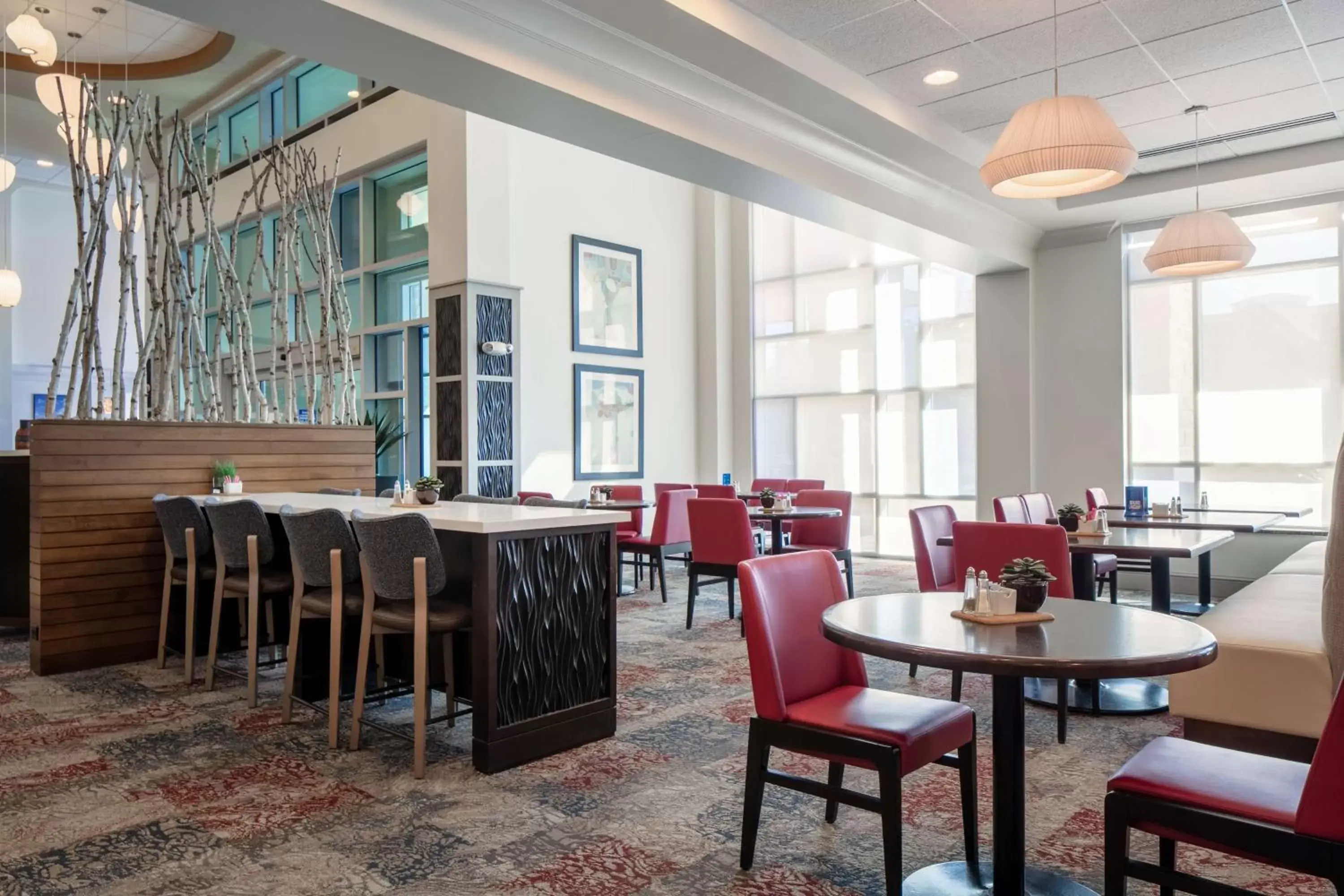 Dining area, Restaurant/Places to Eat in Hilton Garden Inn Manhattan Kansas