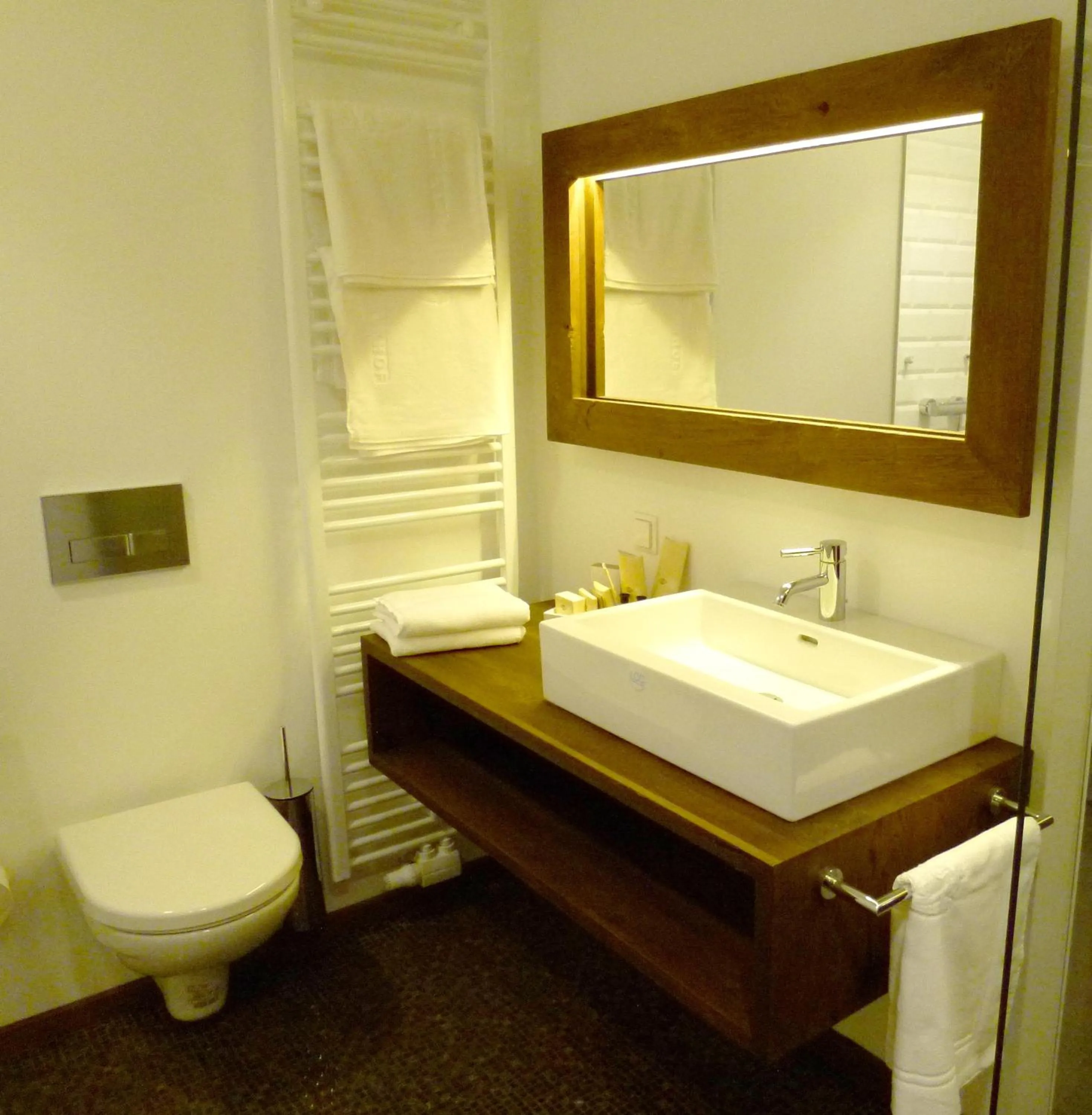 Toilet in Hotel Landhaus Moserhof