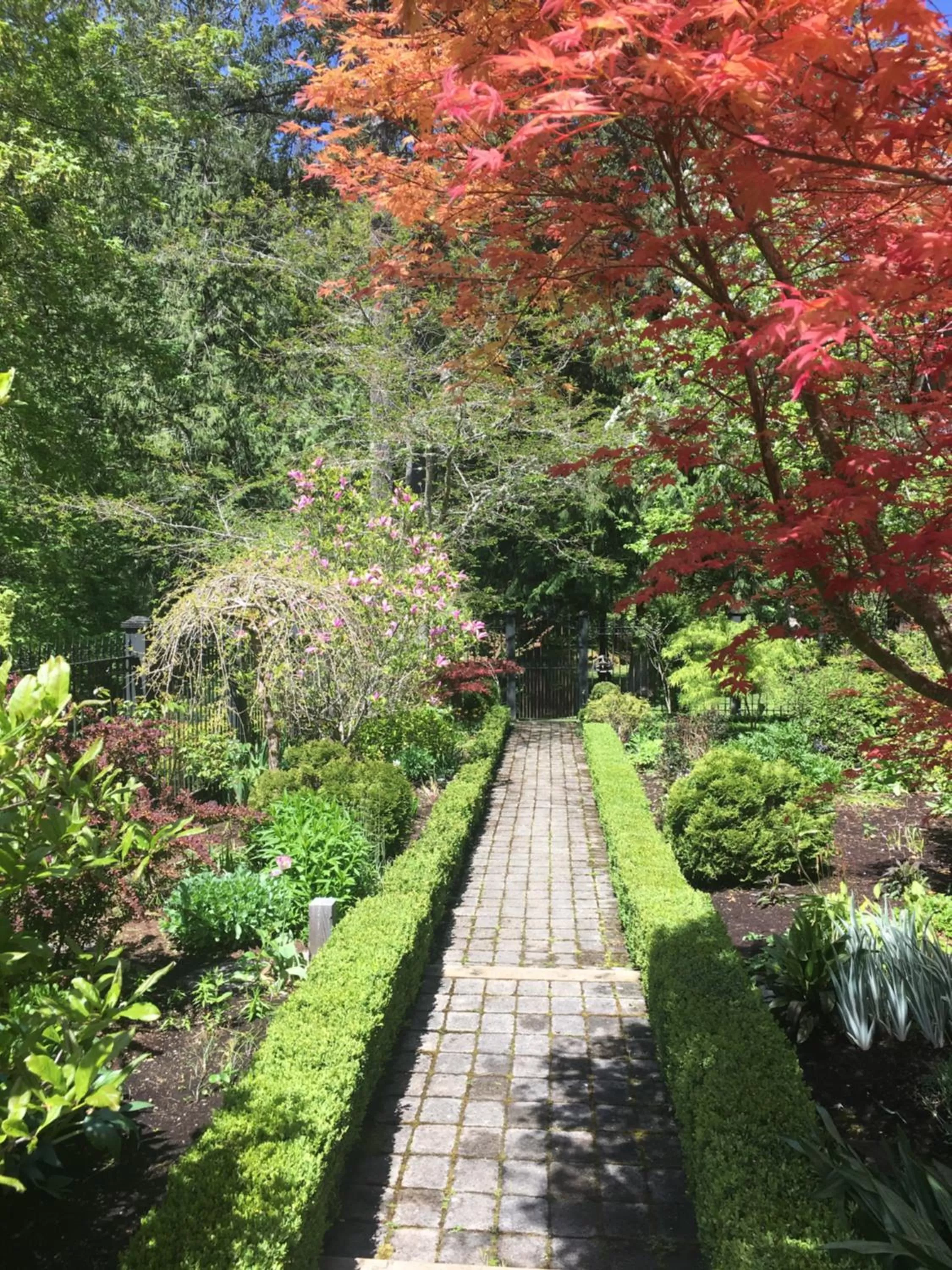 Amante Luxury Bed & Breakfast