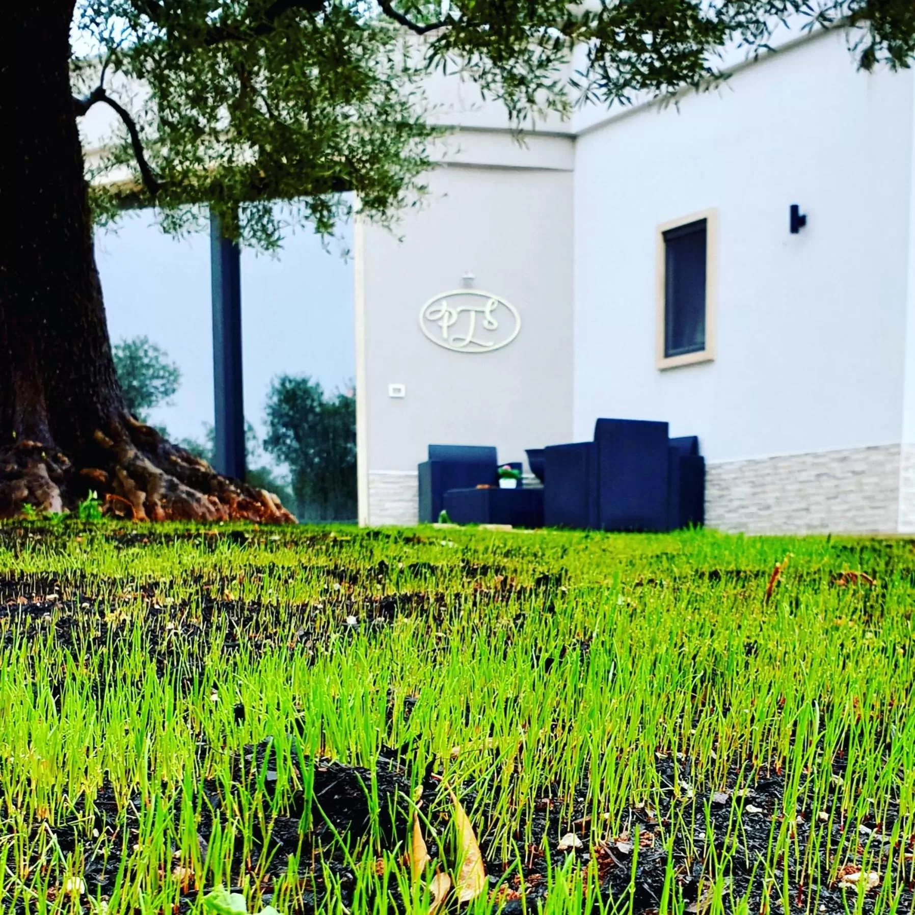 Property Building in Pandora Luxury Suite