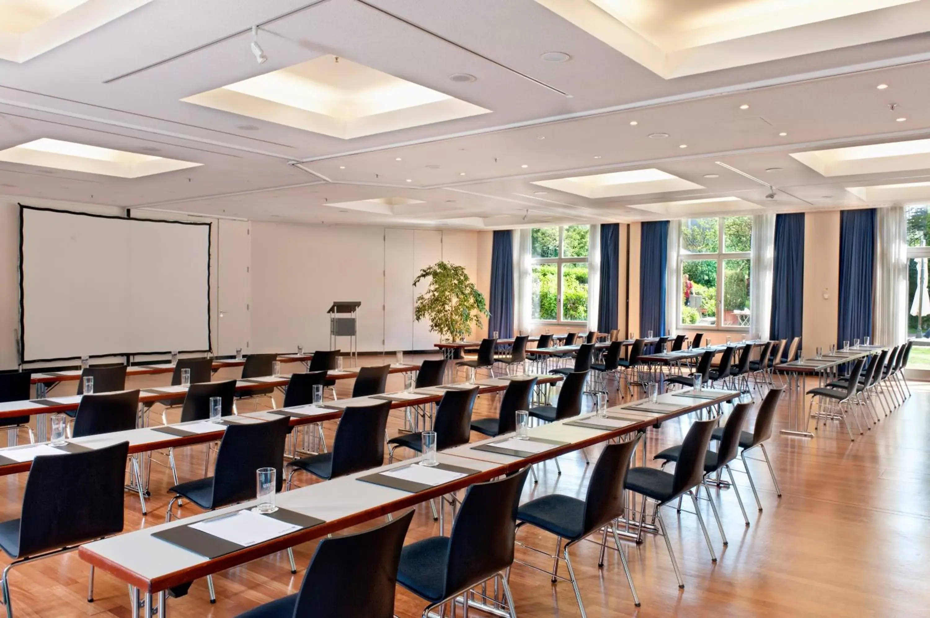 Business facilities in Radisson Blu Park Hotel & Conference Centre