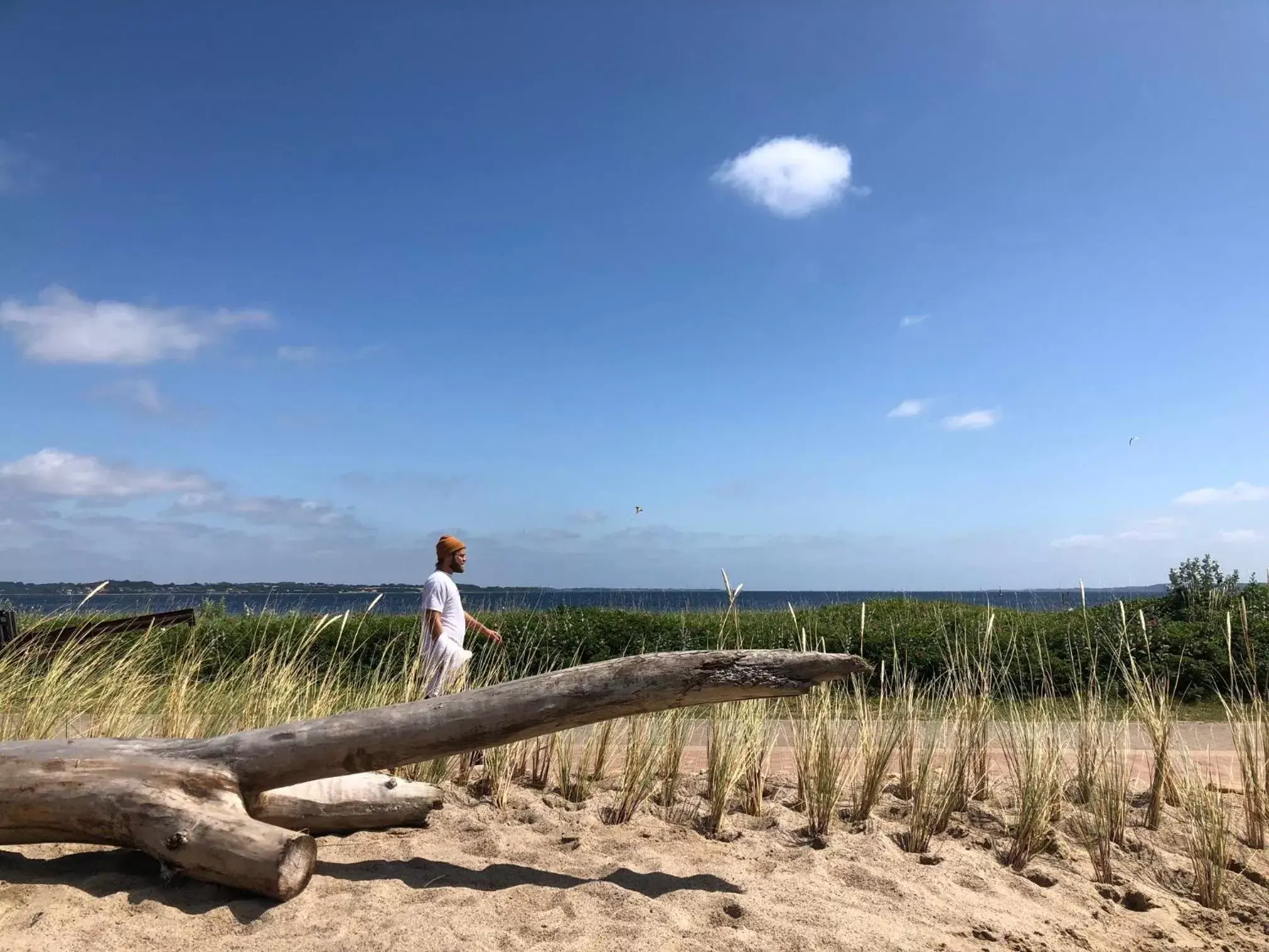 Natural landscape in Ostsee-Strandhaus-Holnis