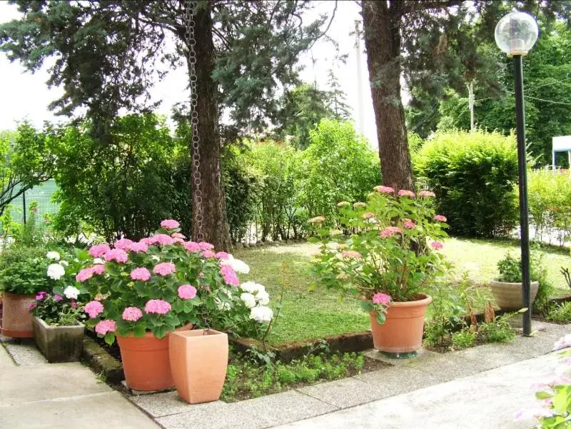 Garden in Hotel Tuscolano