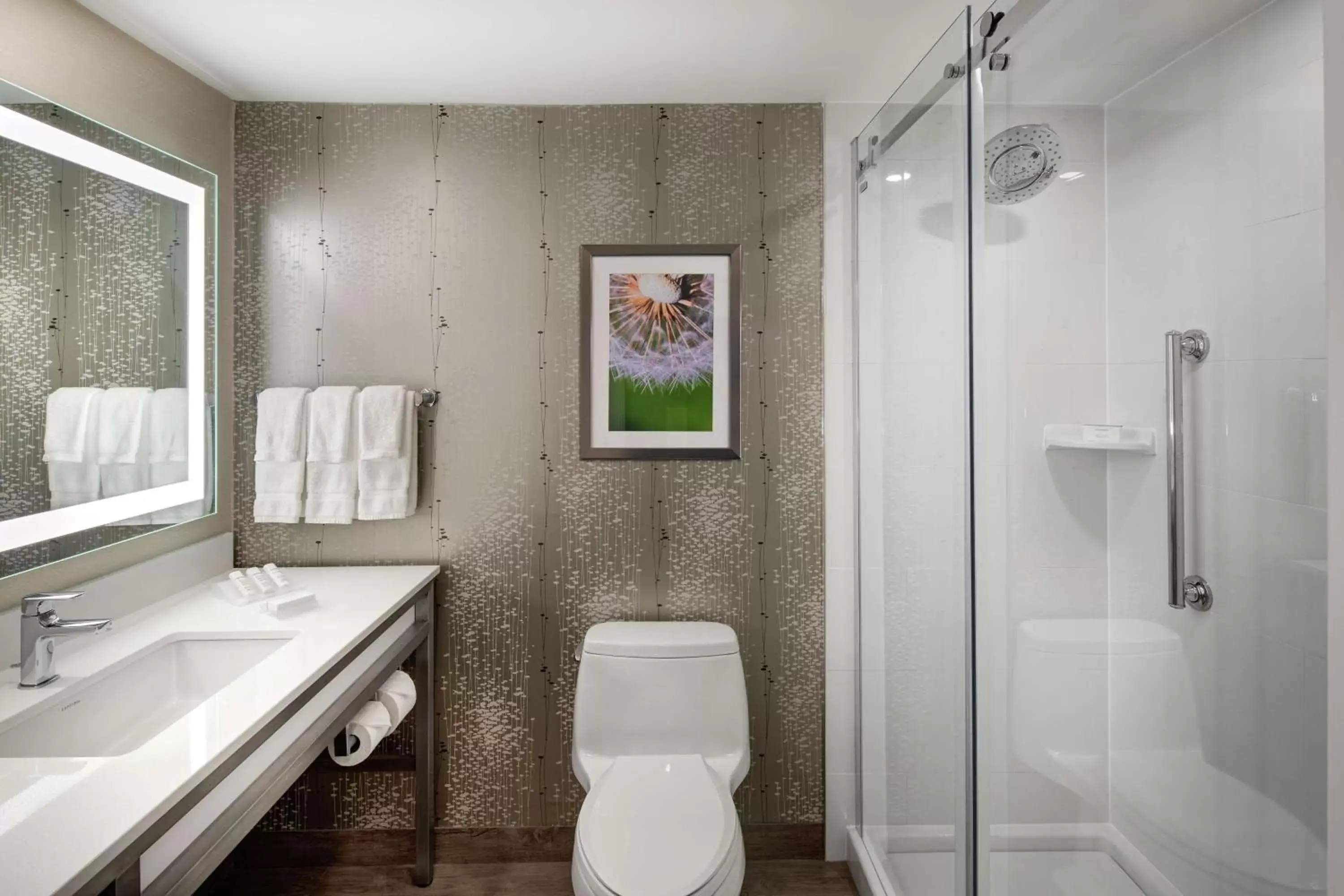 Bathroom in Hilton Garden Inn Toronto-Oakville