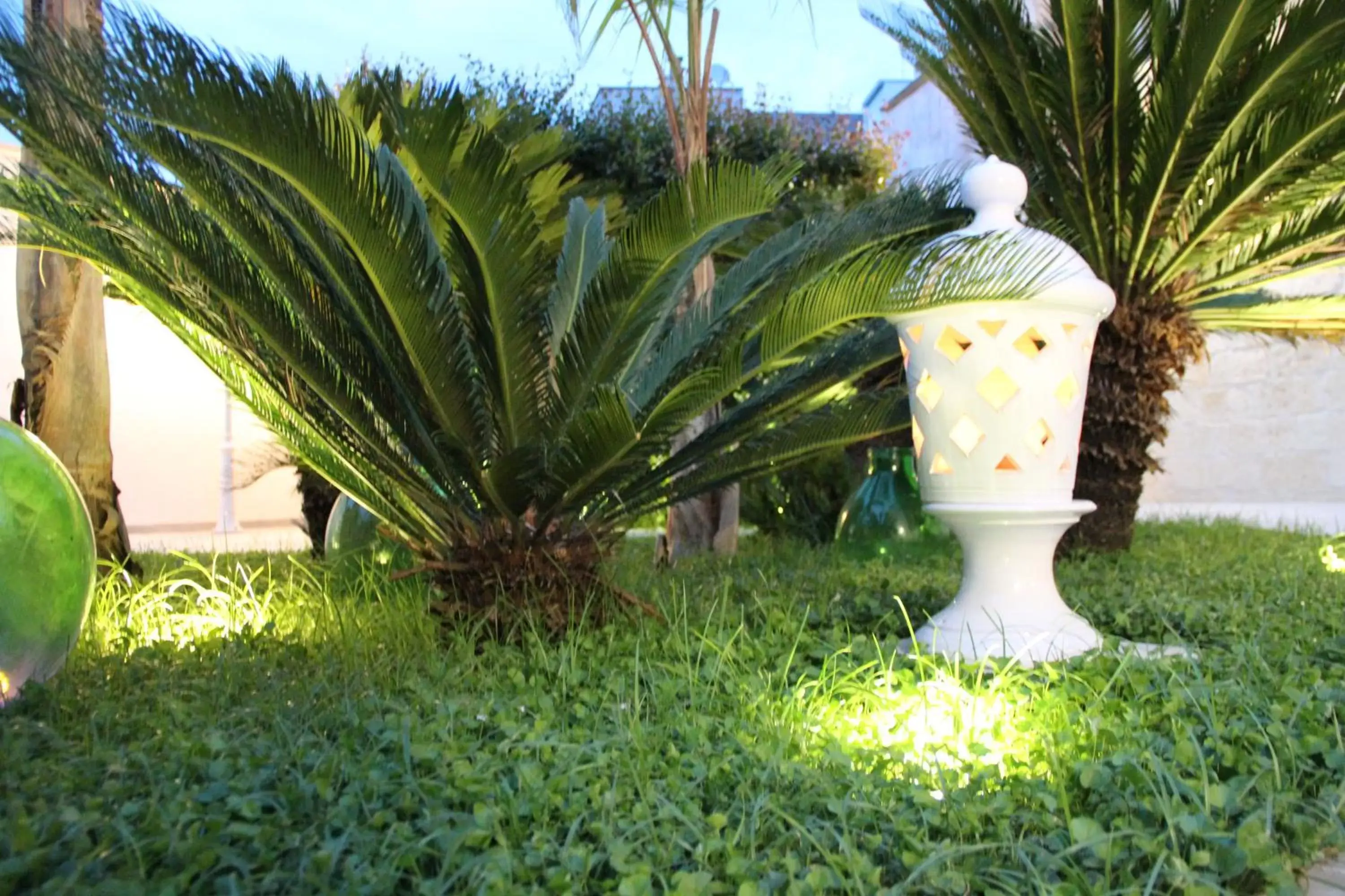 Garden in Il Giardino della Scuncerta