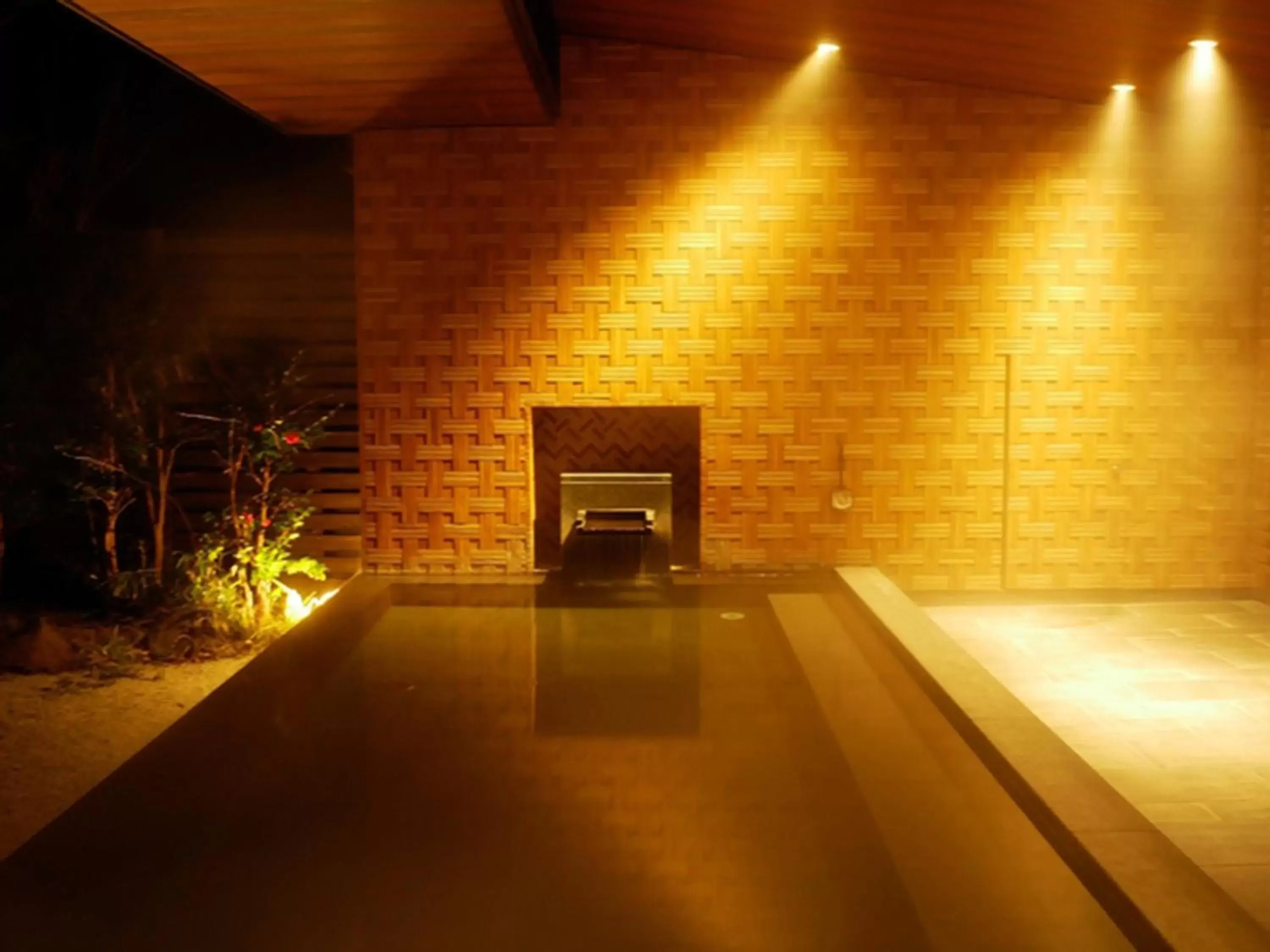 Hot Spring Bath, Swimming Pool in Hakone Sengokuhara Prince Hotel