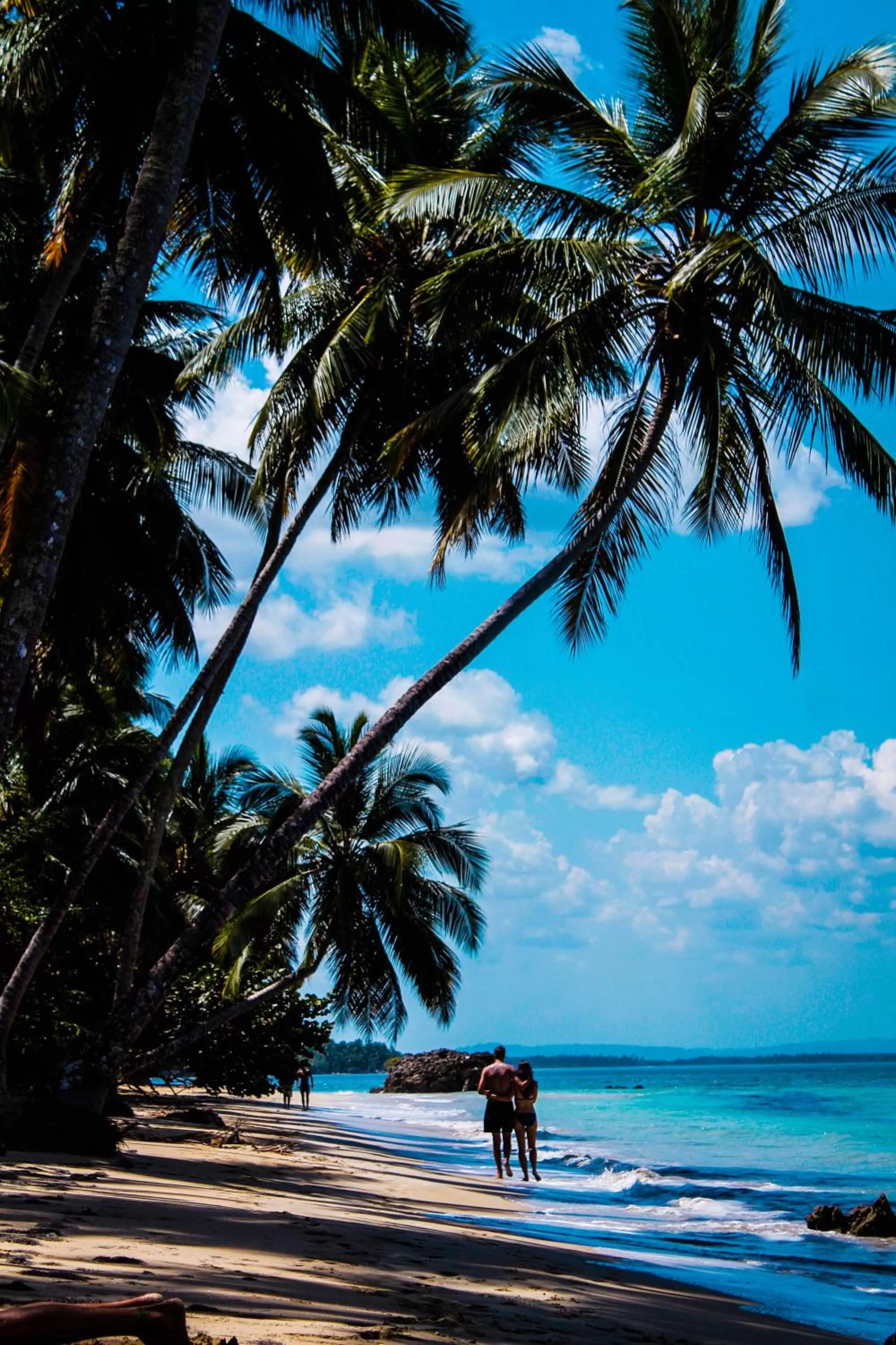 Natural landscape in Chill Boutique Hotel