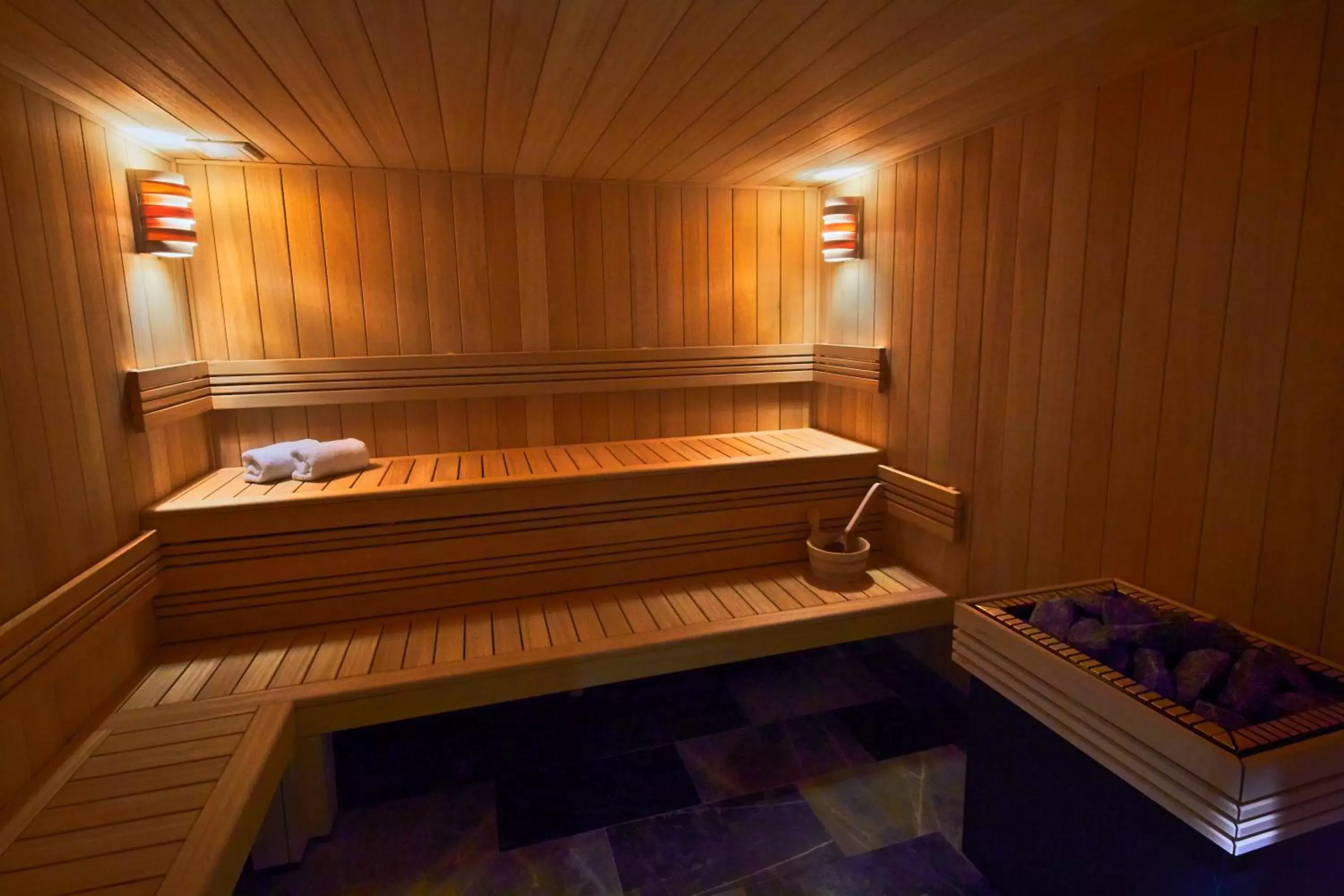 Sauna in La Licorne Hotel & Spa Troyes MGallery