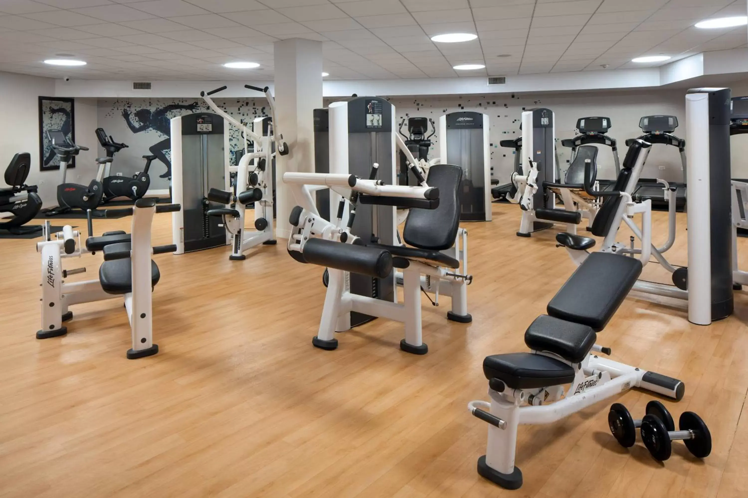 Fitness centre/facilities, Fitness Center/Facilities in Sheraton Waikiki