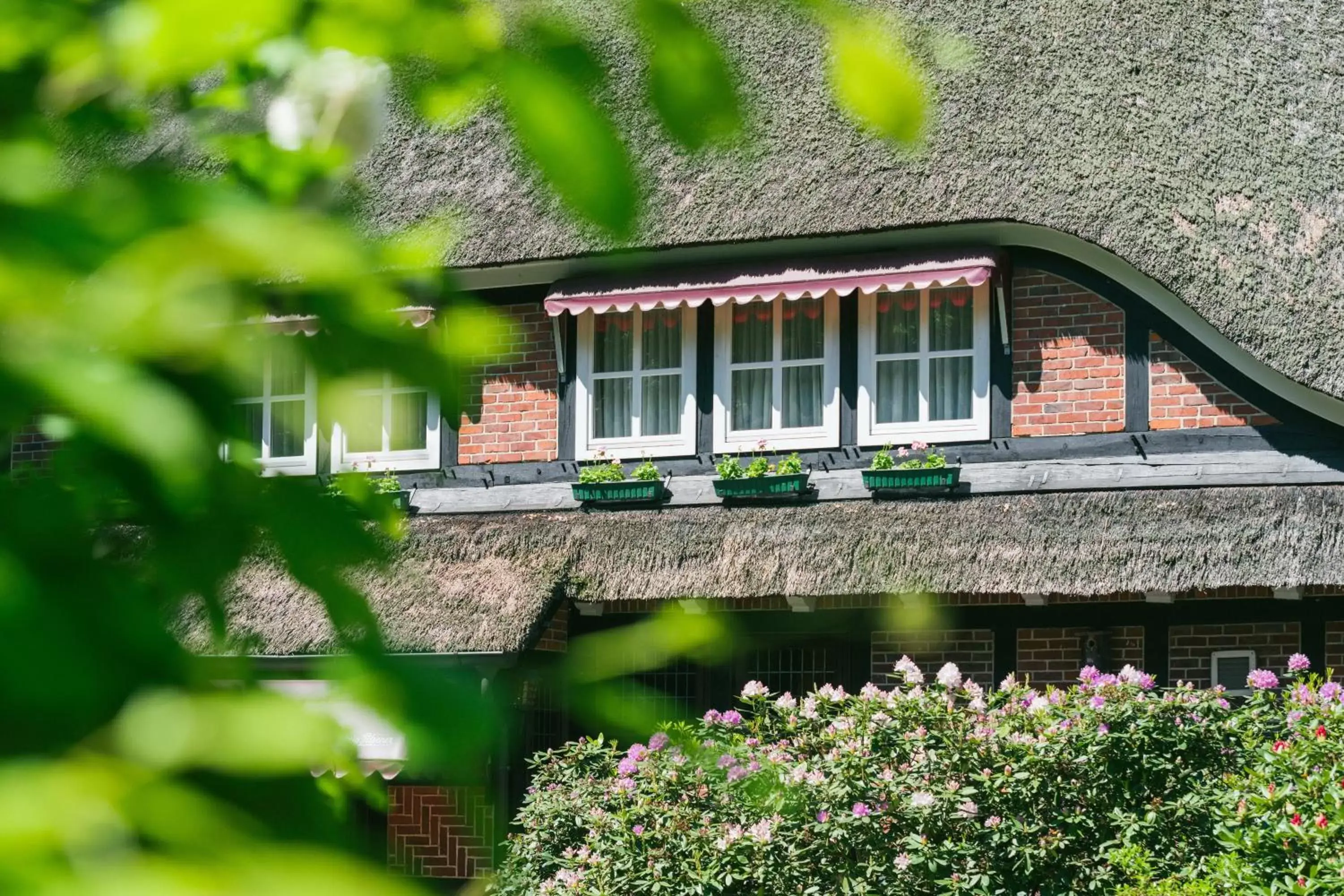 Property Building in Hotel Landhaus Höpen