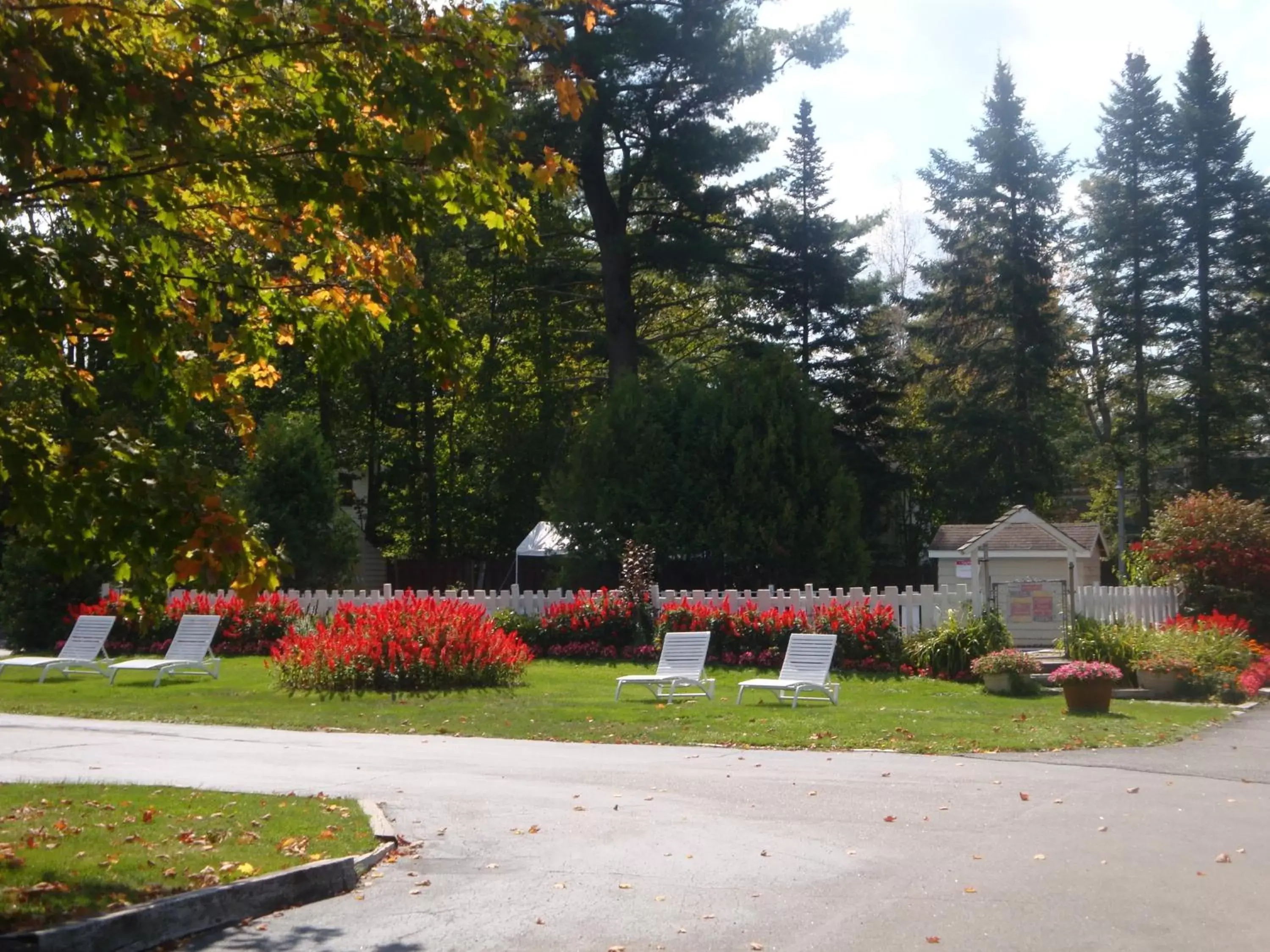 Garden in Maple Leaf Inn Lake Placid