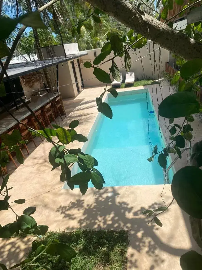 Pool View in Aktun Bacalar