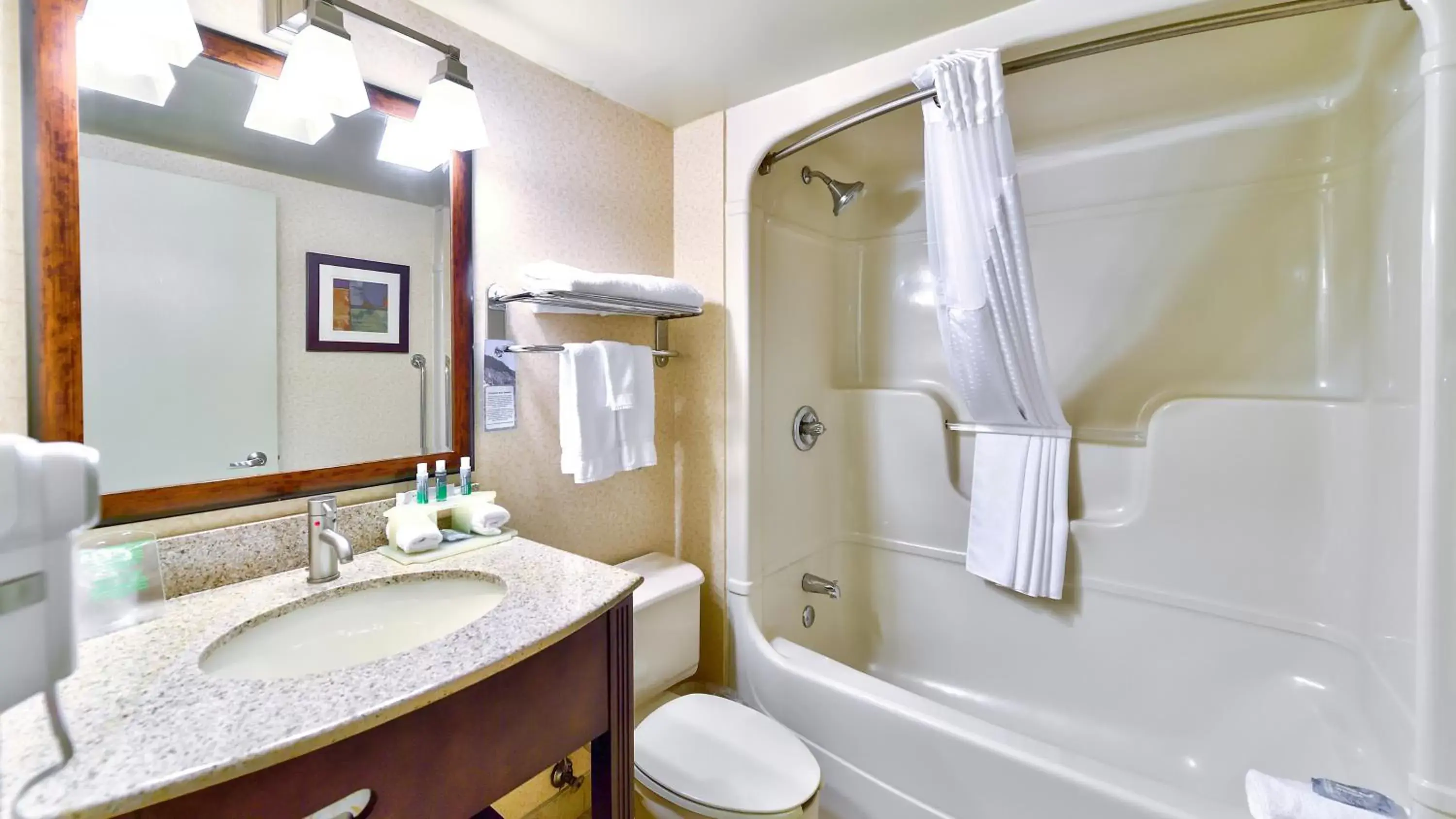 Bathroom in Holiday Inn Express St. Jean Sur Richelieu, an IHG Hotel
