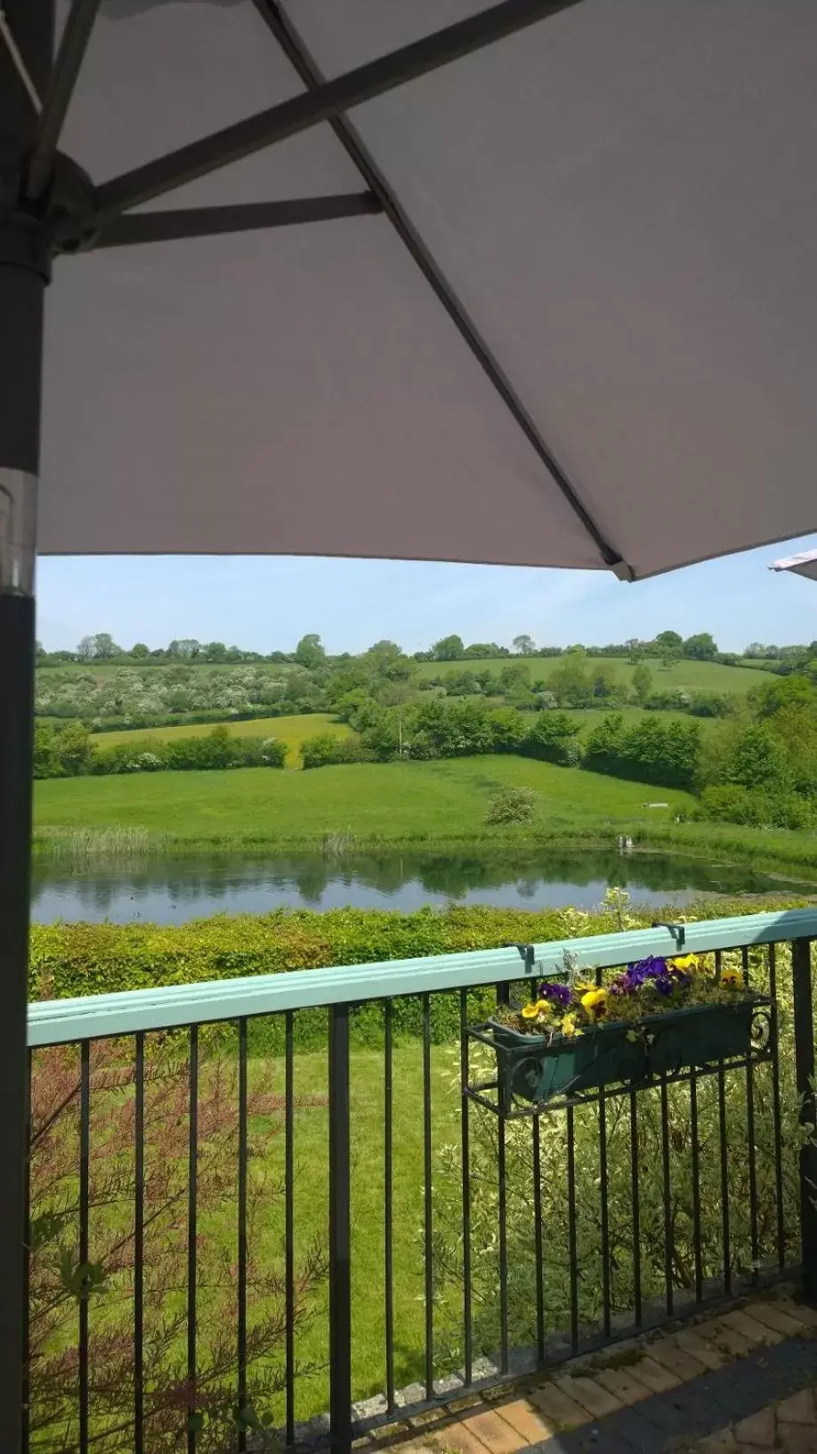 Patio in Cameley Lodge - Self Catering