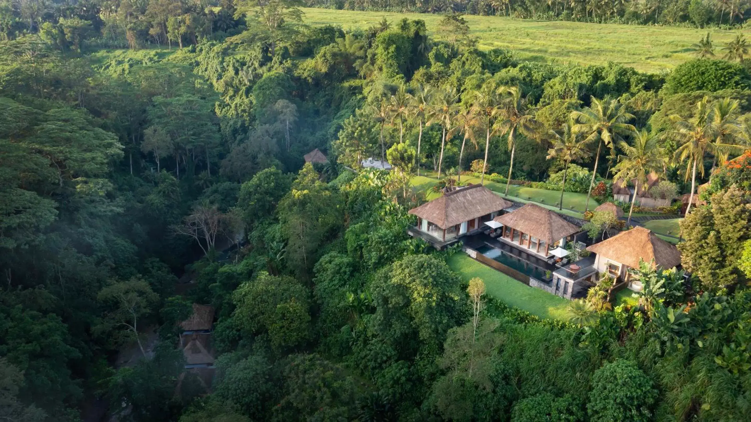 Bird's eye view, Bird's-eye View in Maya Ubud Resort & Spa