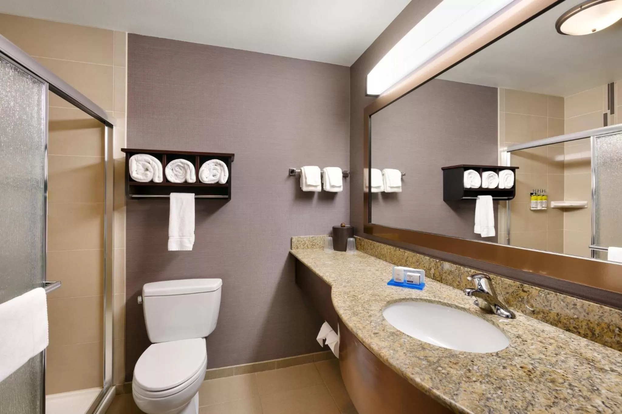 Bathroom in Holiday Inn Express Hotel & Suites Billings by IHG