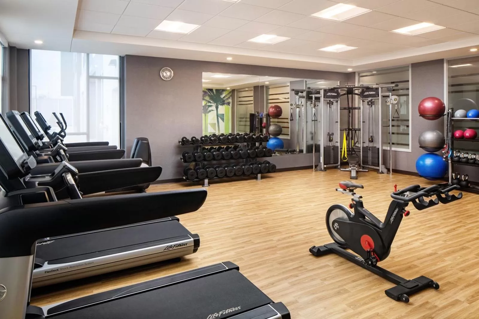 Fitness centre/facilities in Hyatt House Tallahassee Capitol University