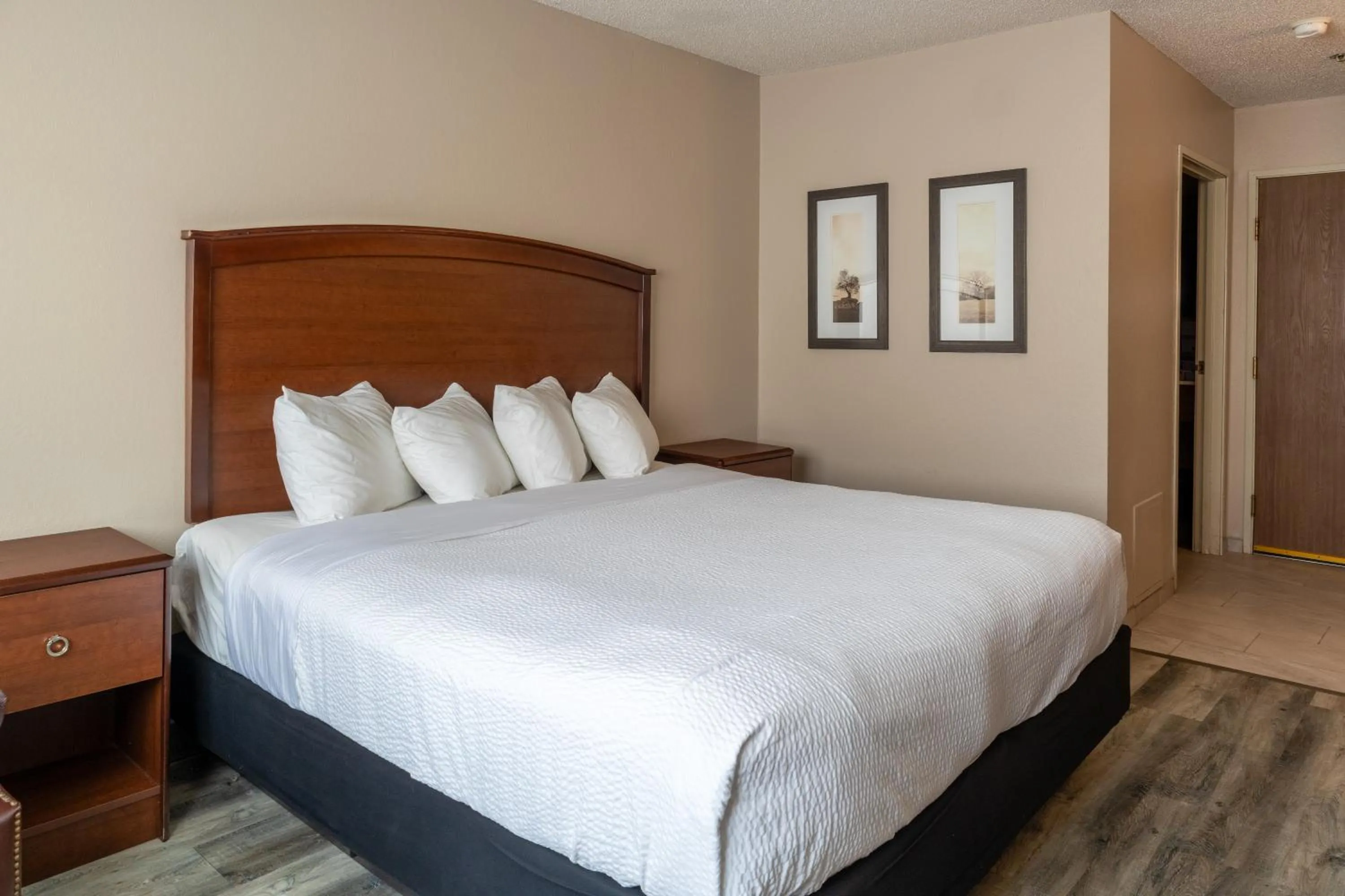 Single Queen Room with Sofa bed - Disability Access in Norland Inn & Suites Roseau
