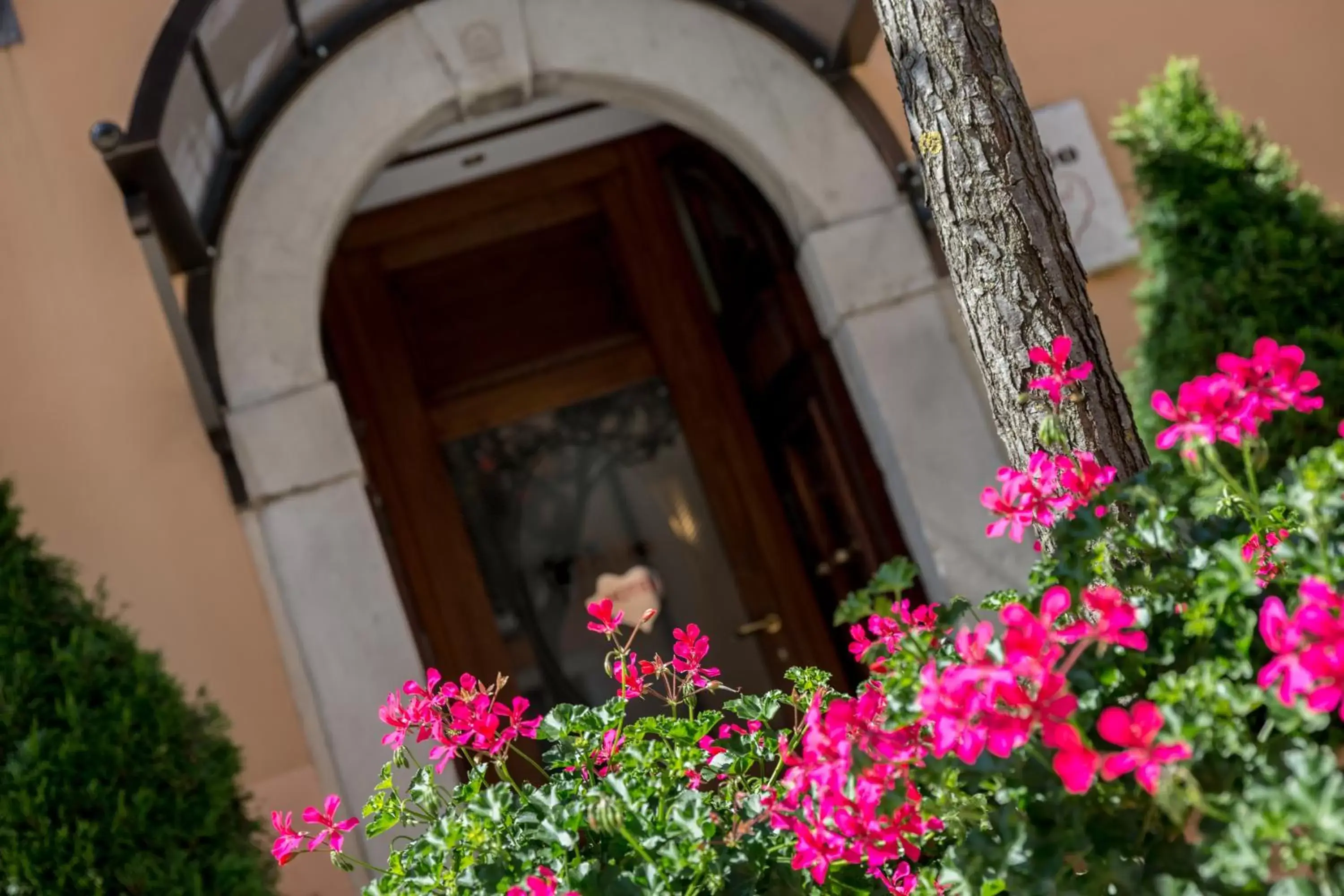 Facade/entrance, Patio/Outdoor Area in Hotel Il Tiglio