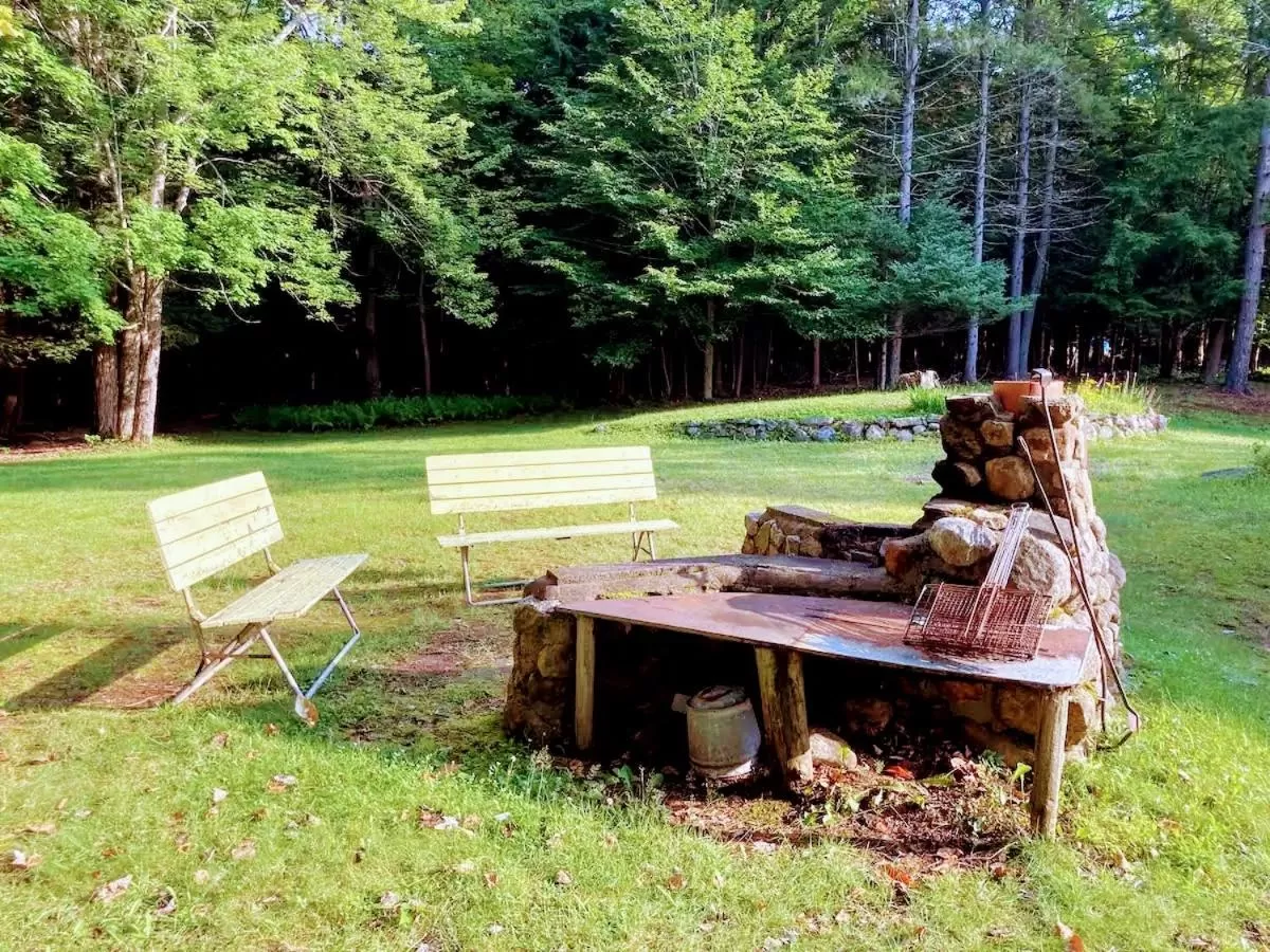BBQ facilities in The Lorca Adirondacks Motel