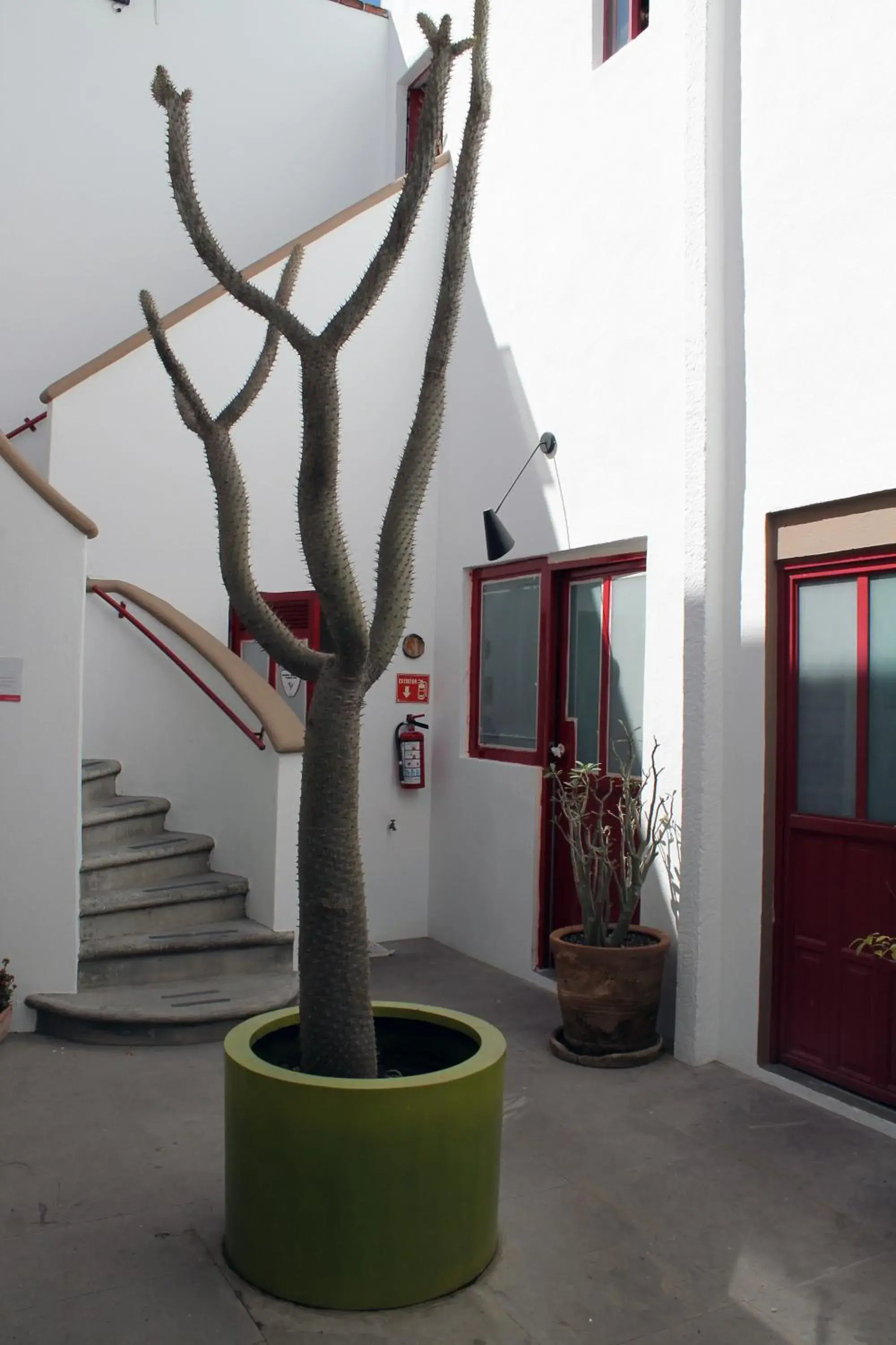 Patio in Kuku Ruku Hotel