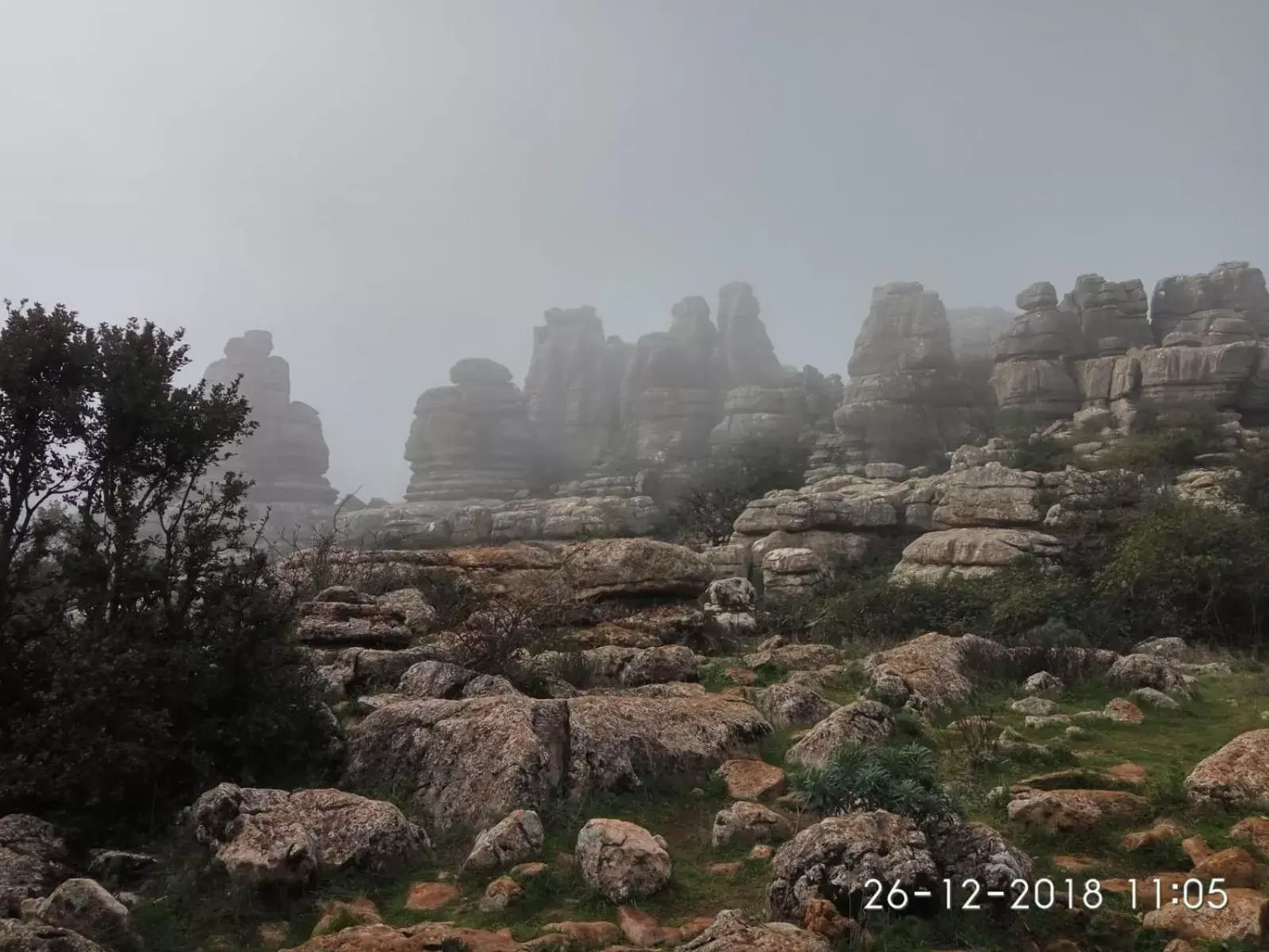 Natural landscape in Coso Viejo