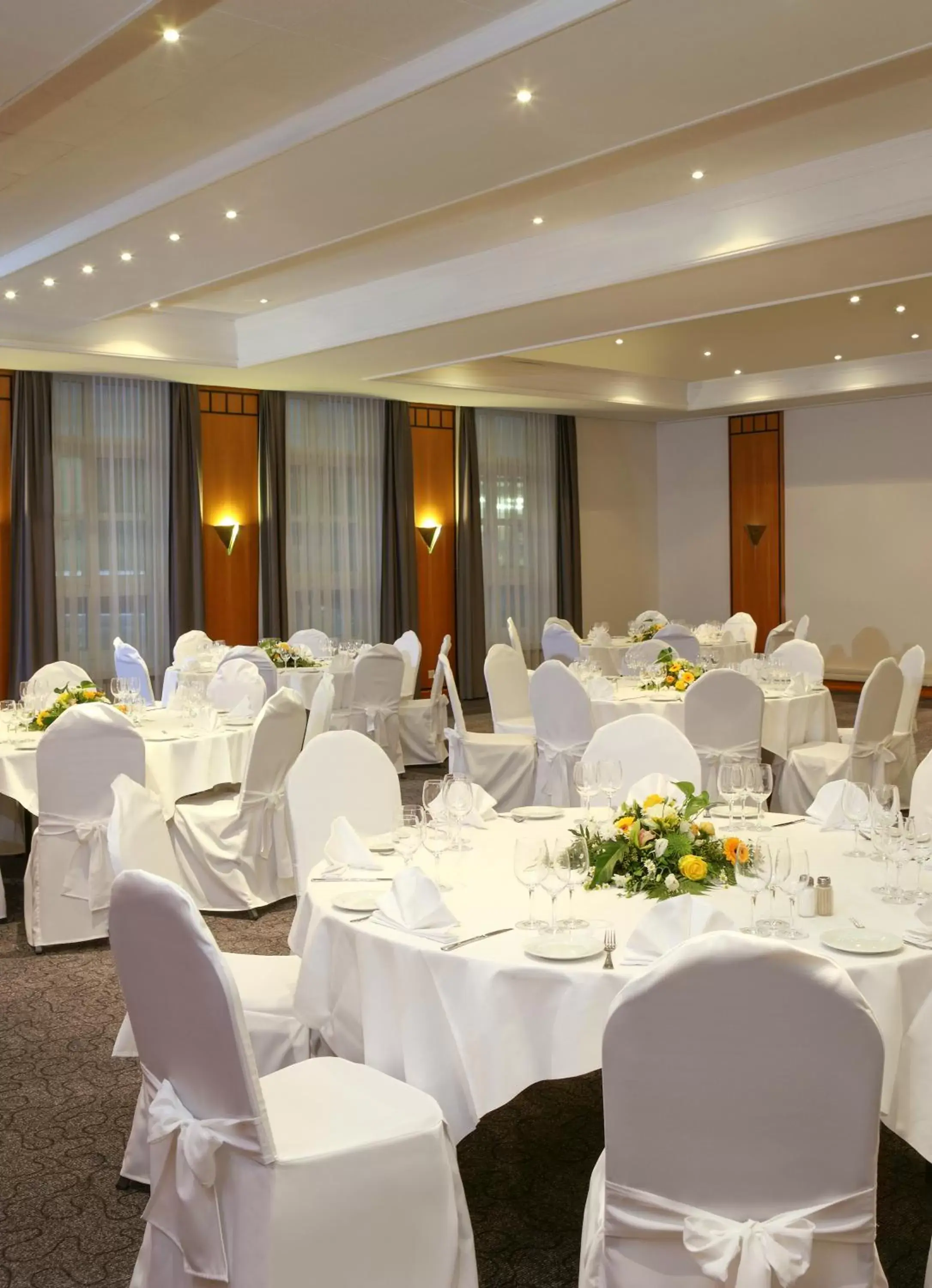 Banquet/Function facilities, Banquet Facilities in ibis Styles Luzern