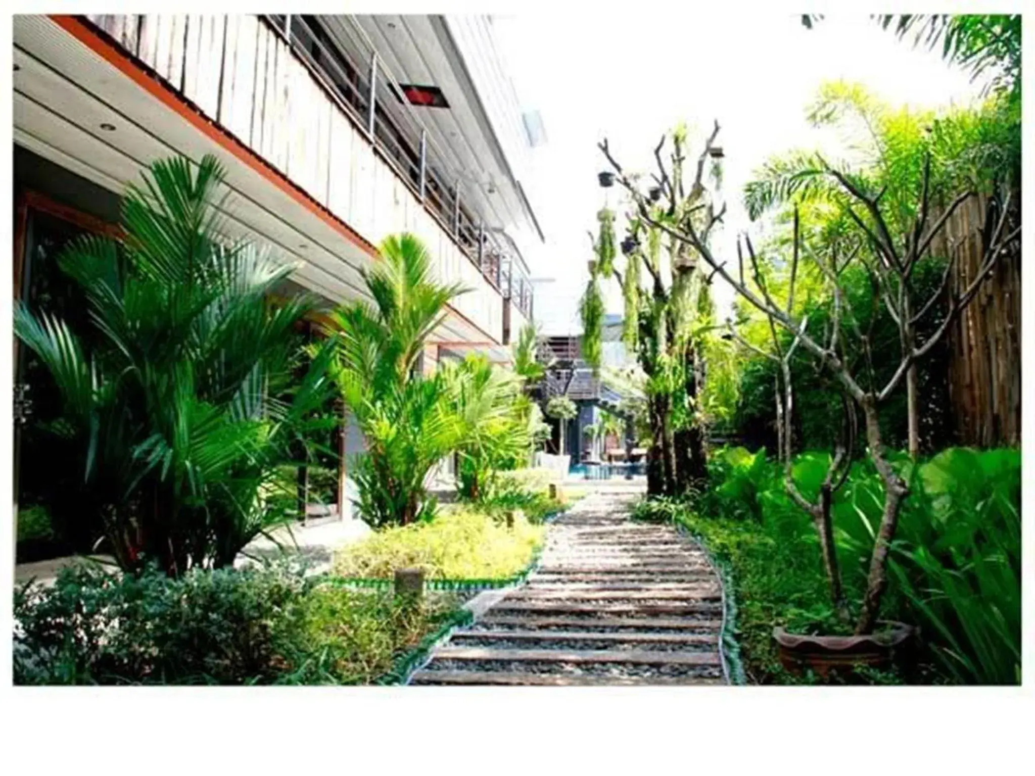 Garden in Nicky's Handlebar Garden in Nicky's Handlebar