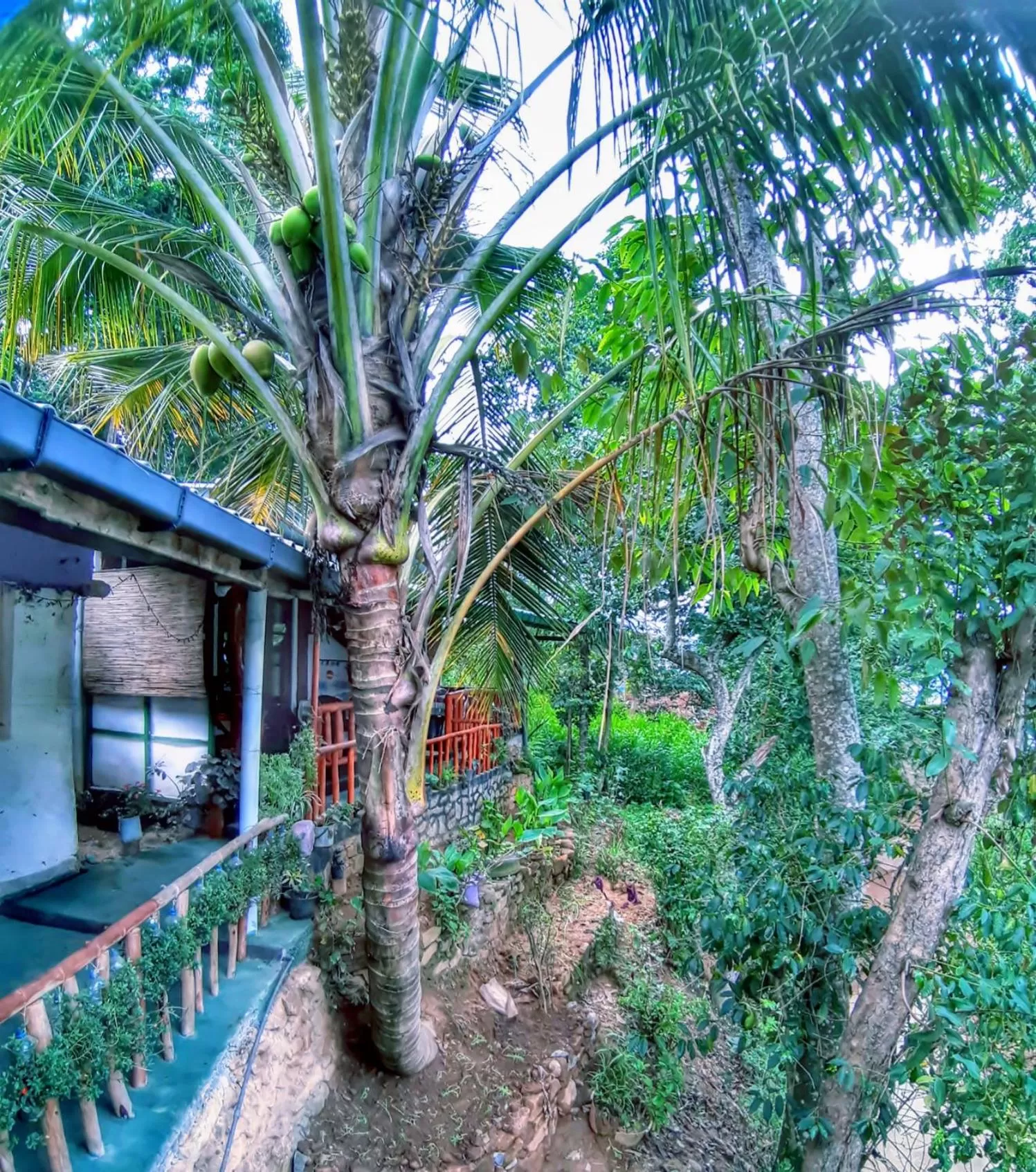 Garden view, Property Building in Cozy Home Stay