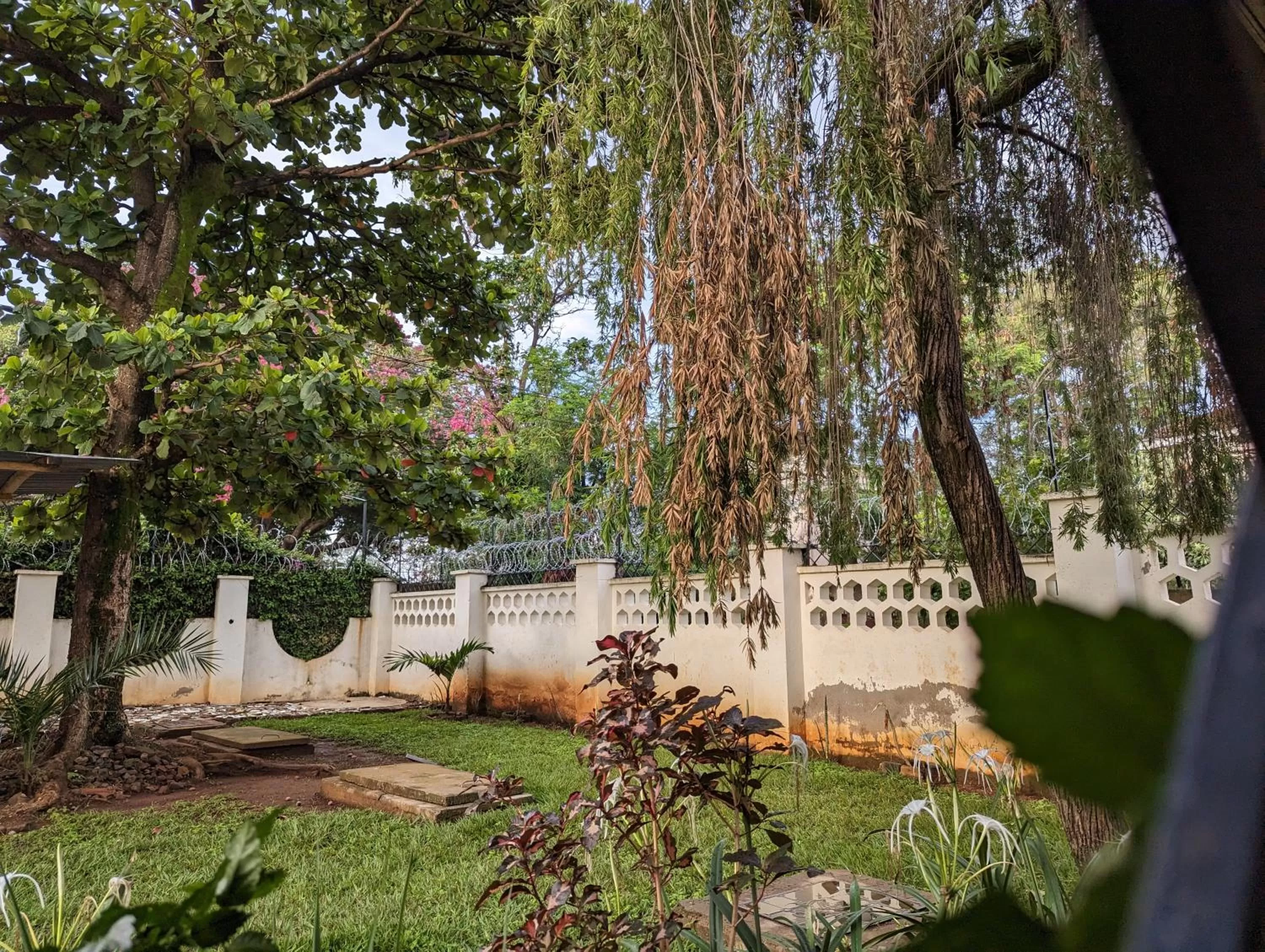 Garden in Annodas Homes Milimani Kisumu