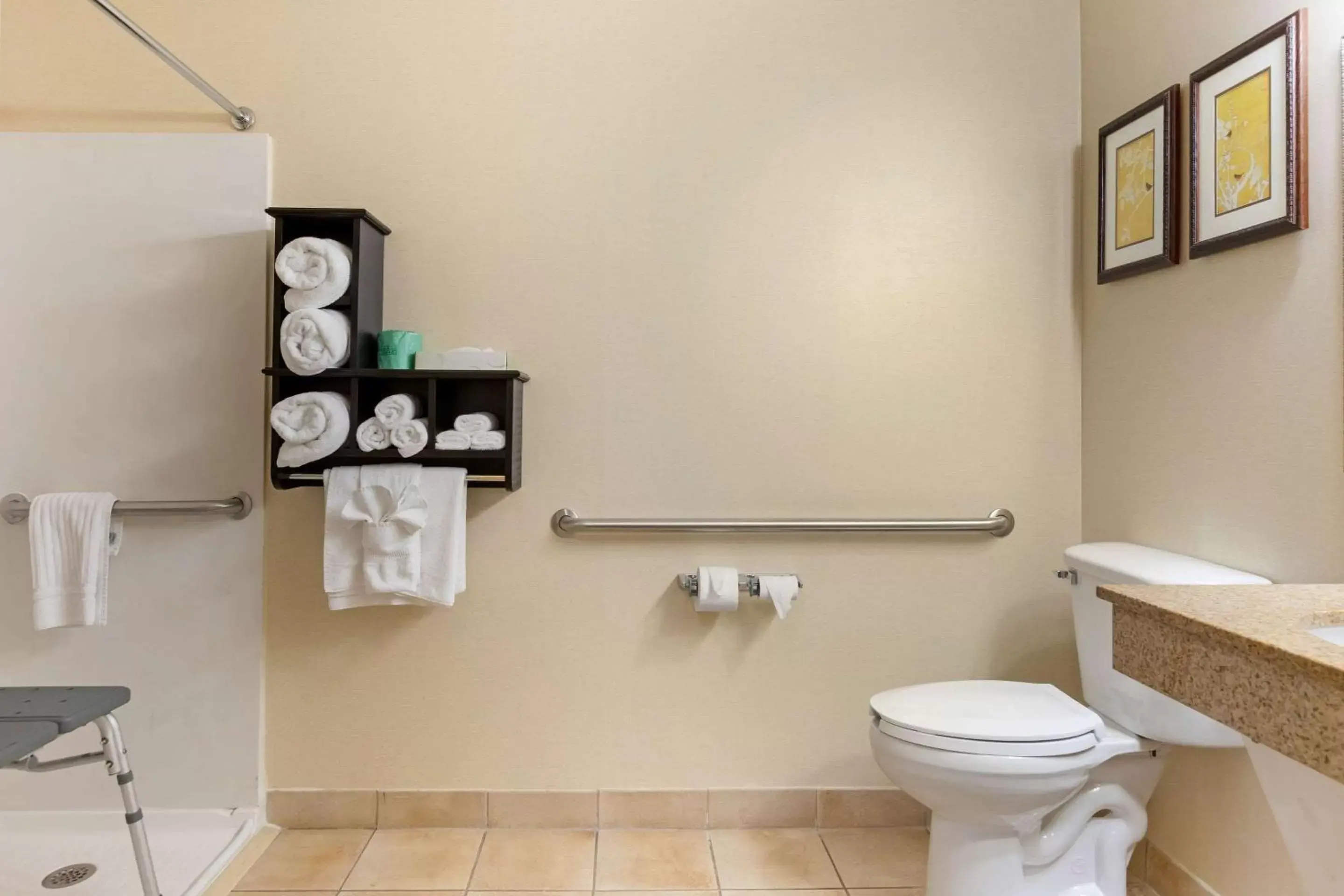 Bathroom in Comfort Suites Southfield