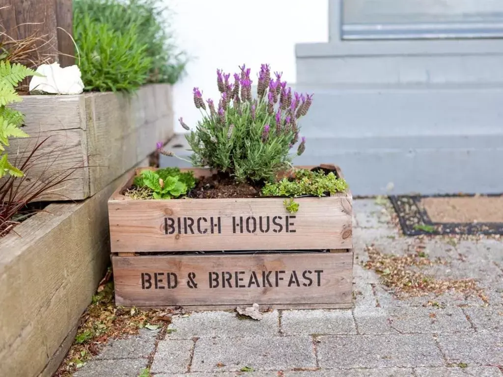 Property building in Birch House Bed & Breakfast