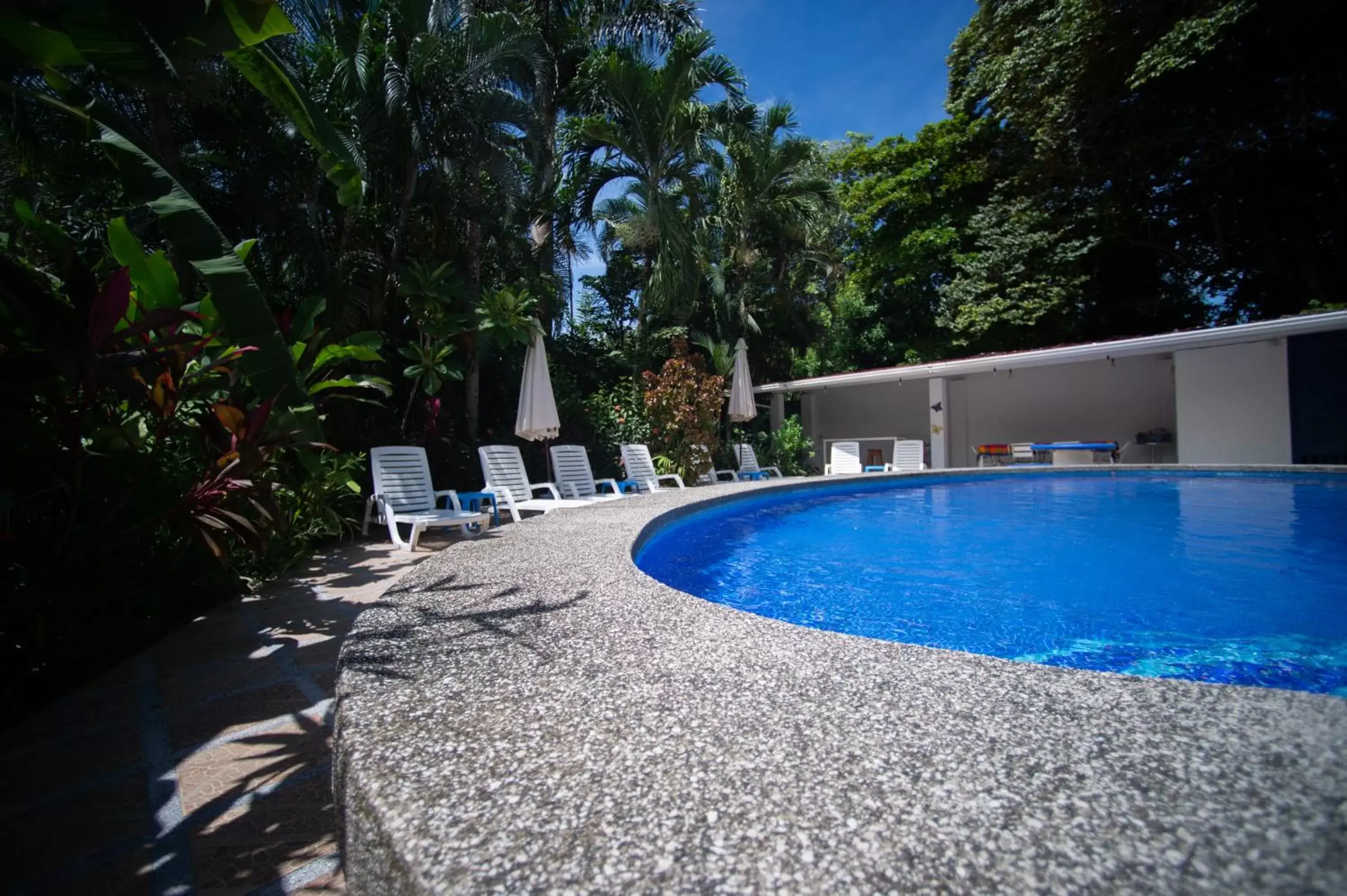 Swimming Pool in La Perlita