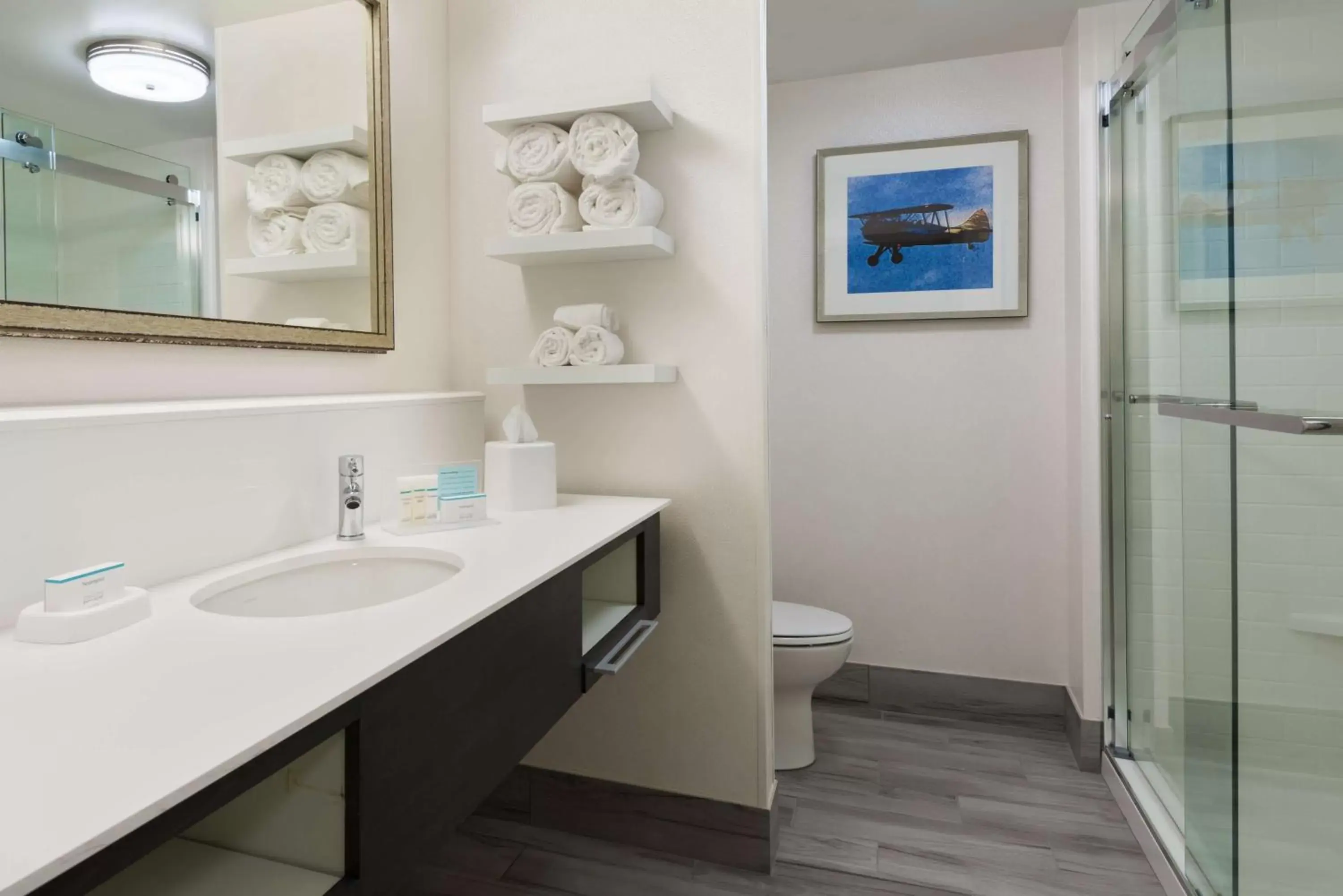 Bathroom in Hampton Inn & Suites Tampa Airport Avion Park Westshore