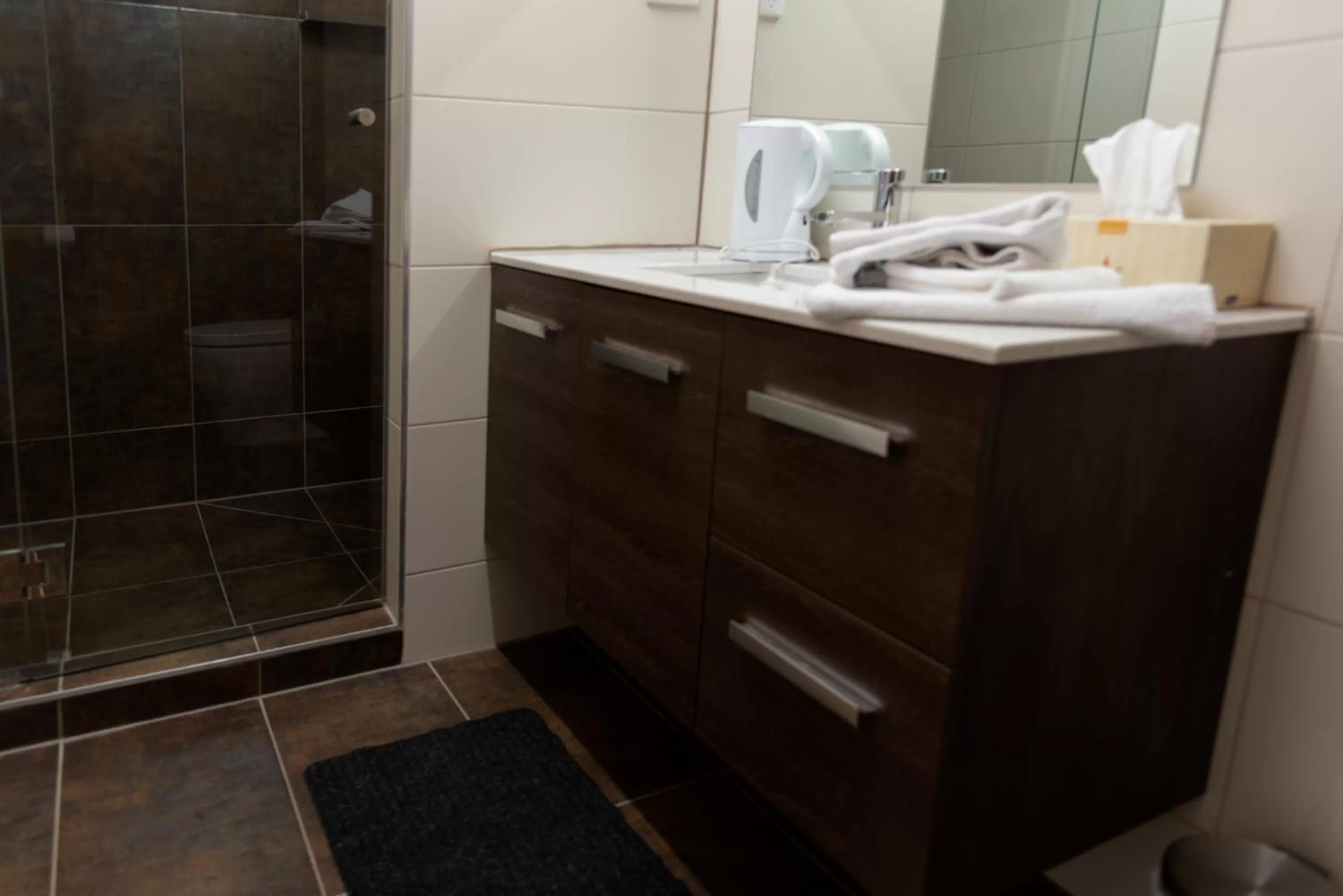 Bathroom in Black Forest Motel