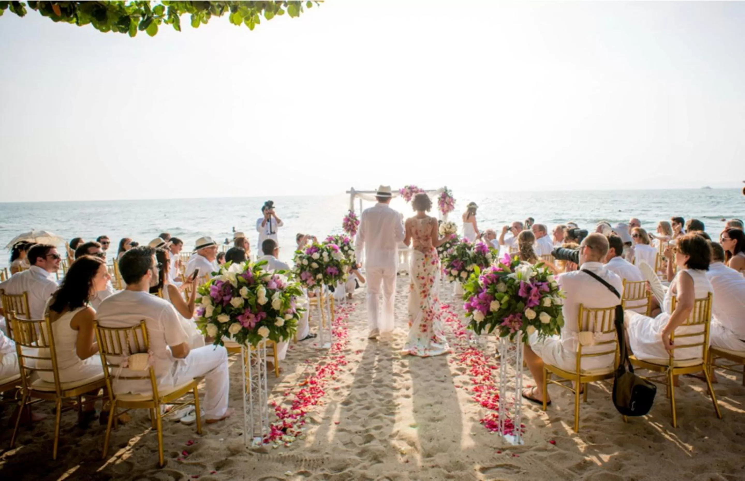 People in Birds and Bees Resort