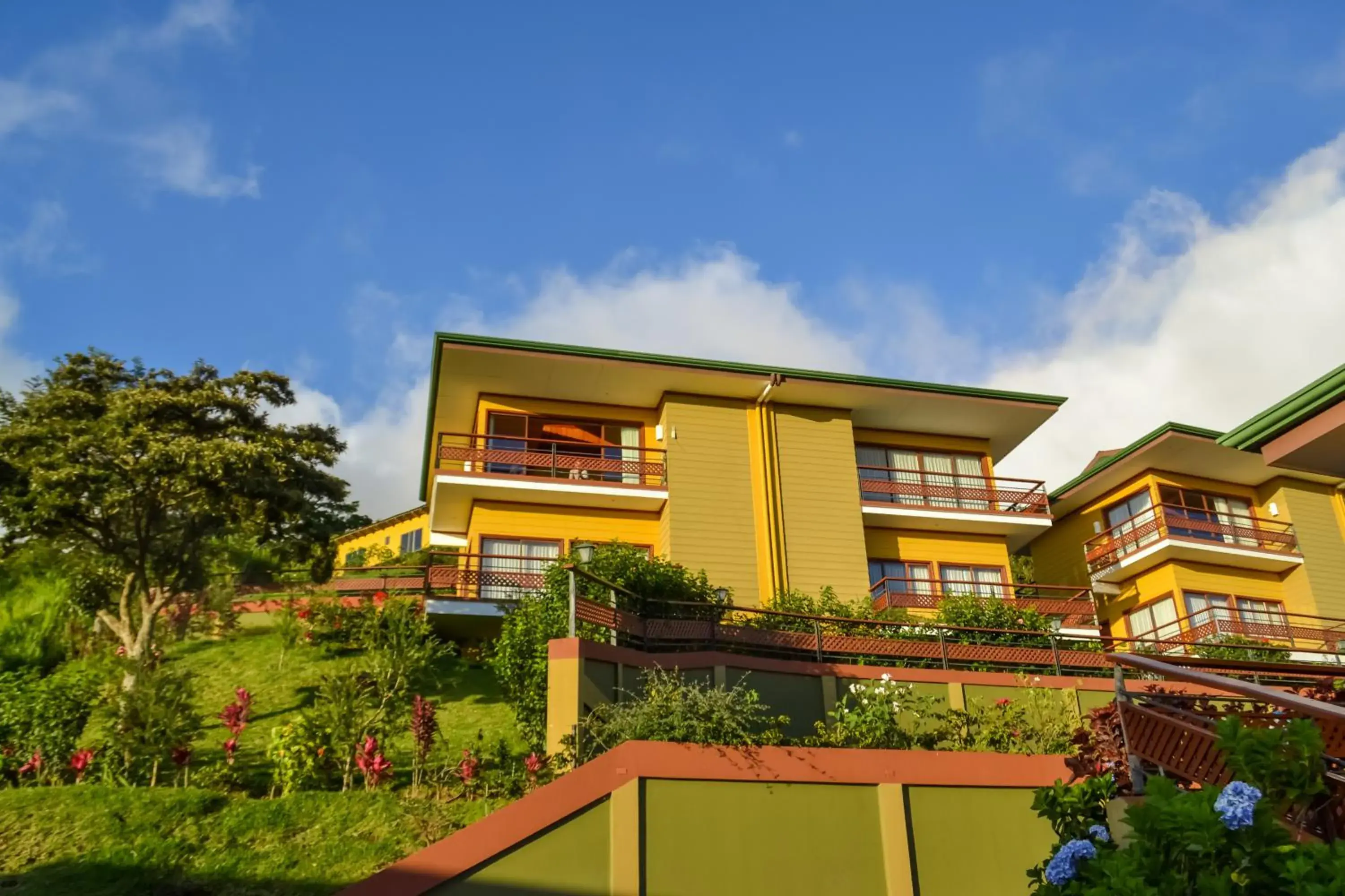 Area and facilities, Property Building in Hotel Ficus - Monteverde