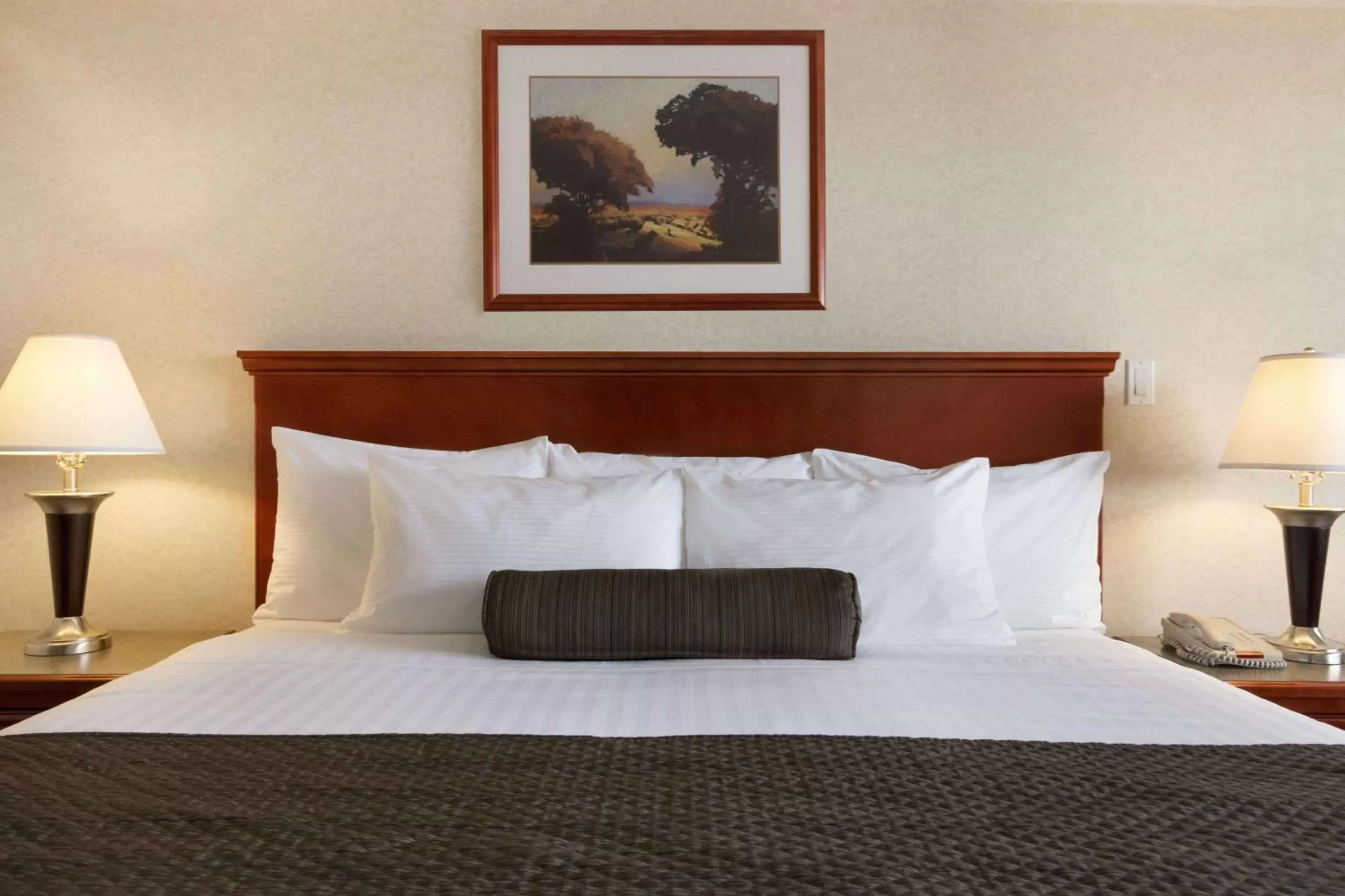 Photo of the whole room, Bed in Days Inn & Suites by Wyndham Langley