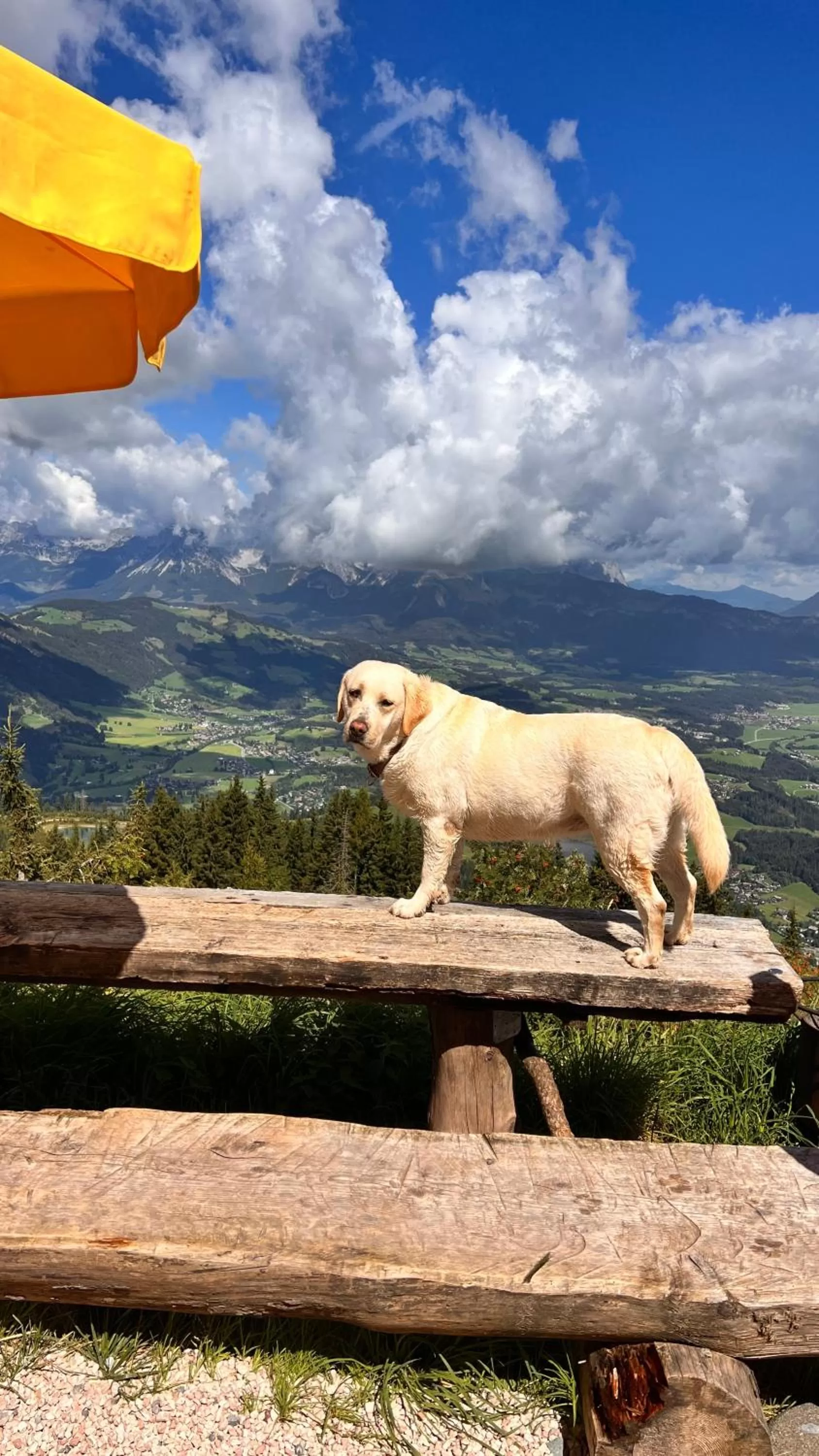Hocheckhuette On Top of the Kitzbuehel Hahnenkamm Mountain
